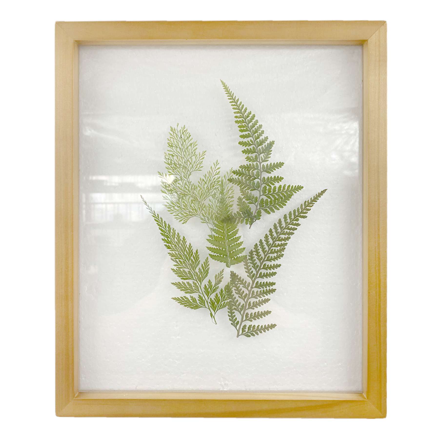 Honeybloom Glass Framed Botanical Wall Art, 10x12