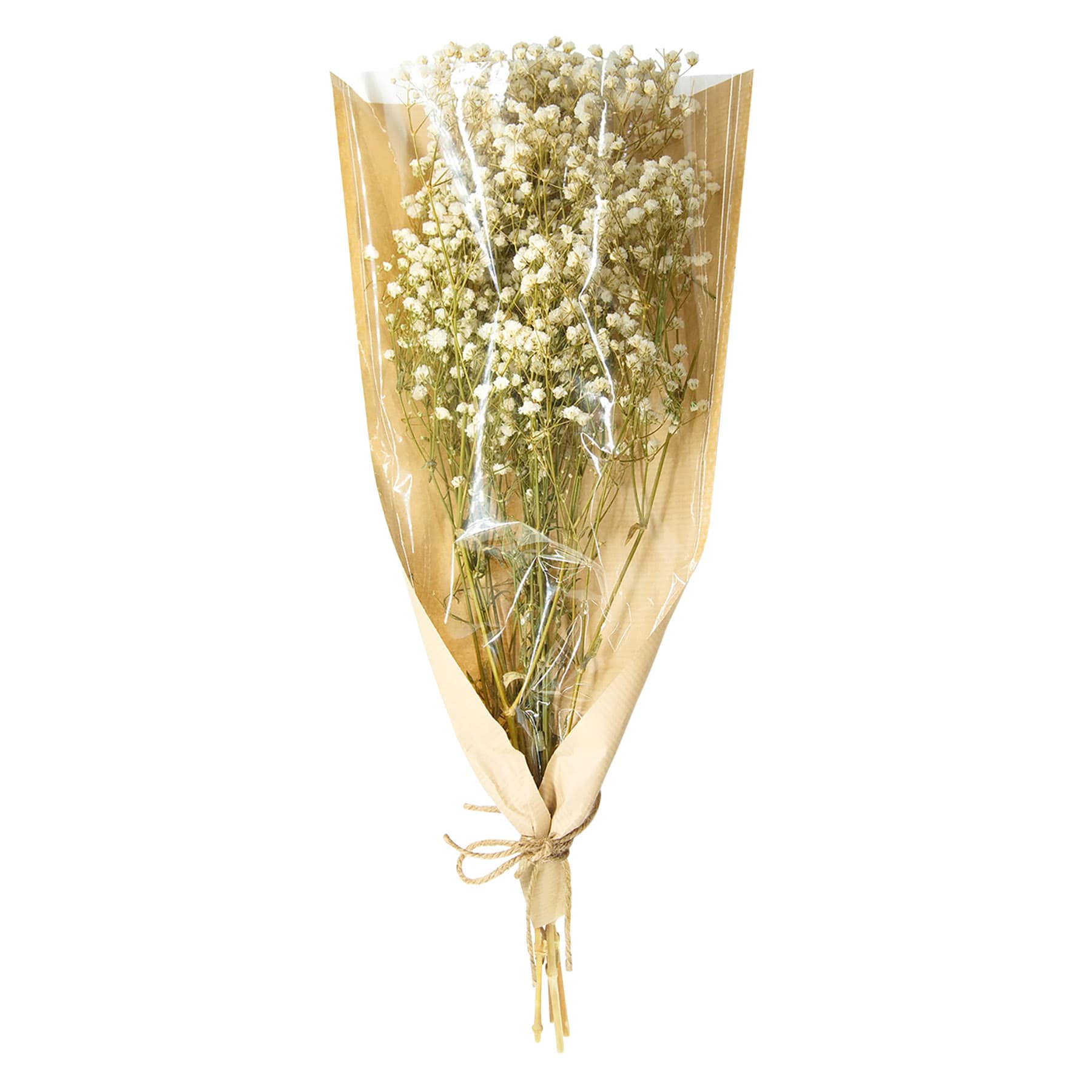 Willow Crossley Green Baby's Breath Bundle, 15"