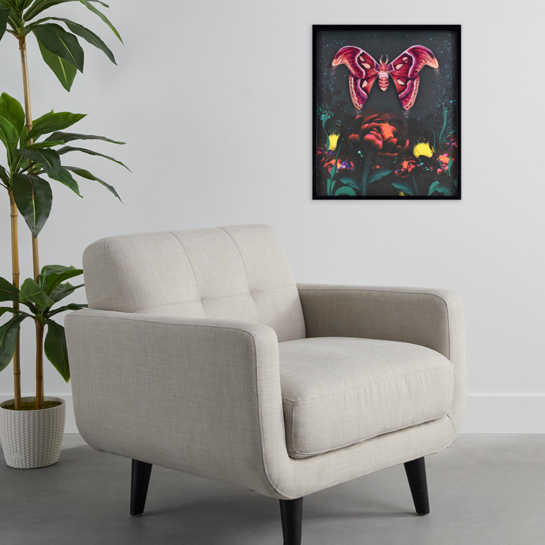 SCADpro Glass Framed Moth Garden Print Wall Decor, 21x25