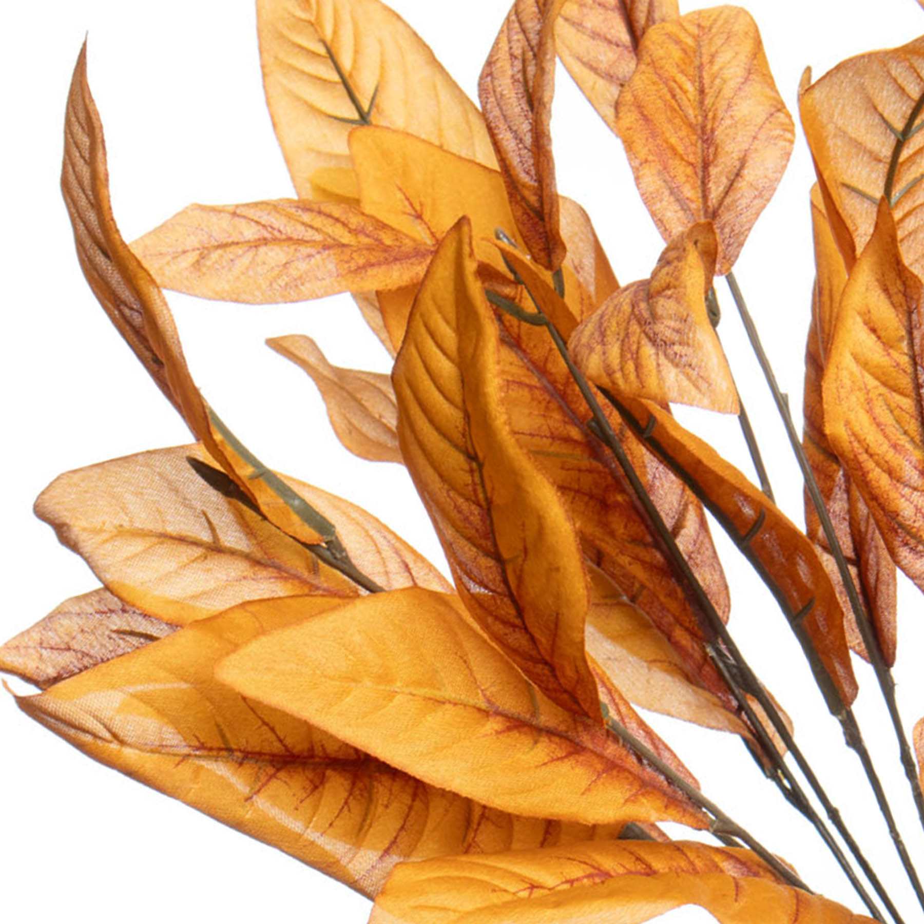 Orange Magnolia Leaf Bush, 19"