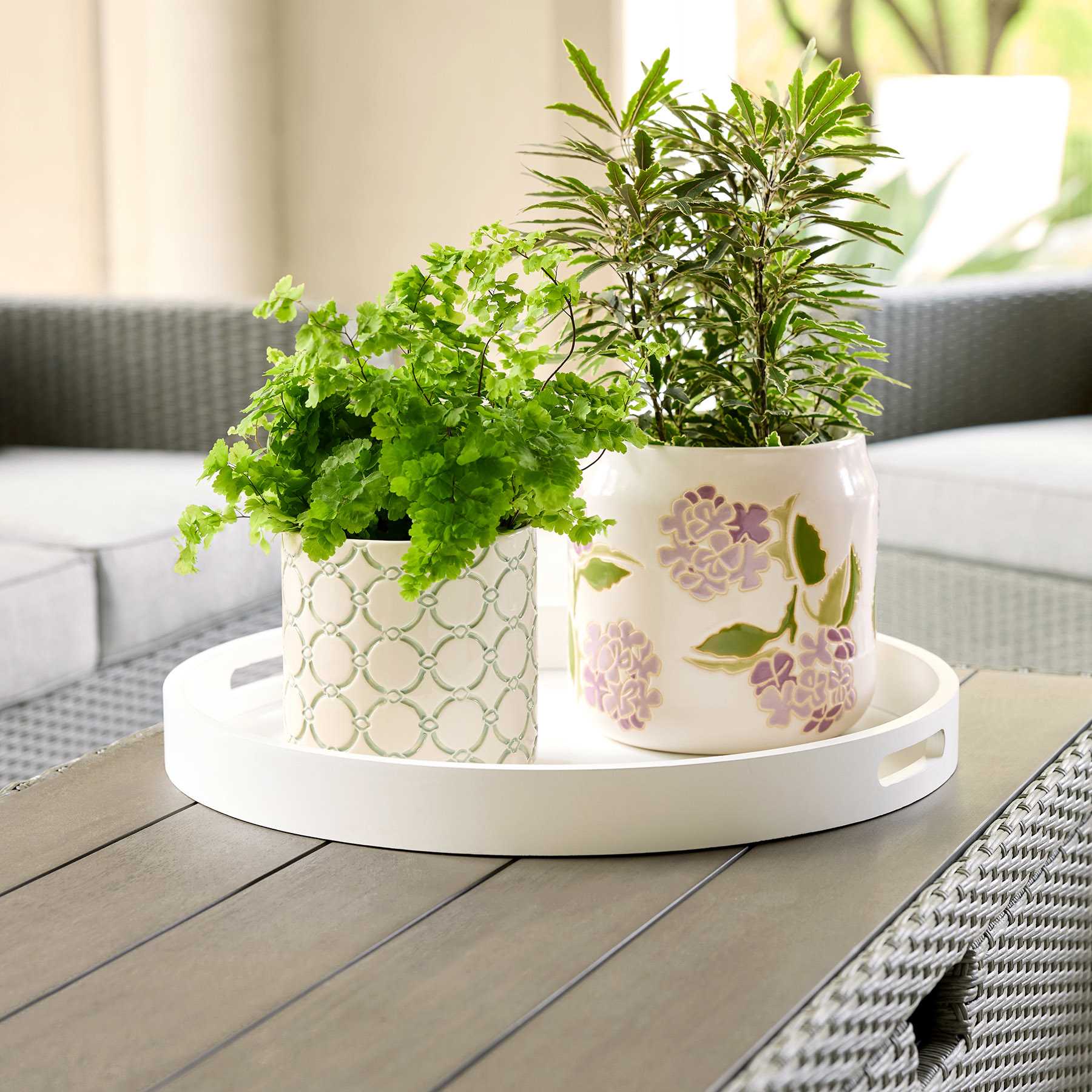 Providence Indoor Patterned Planter, 6"