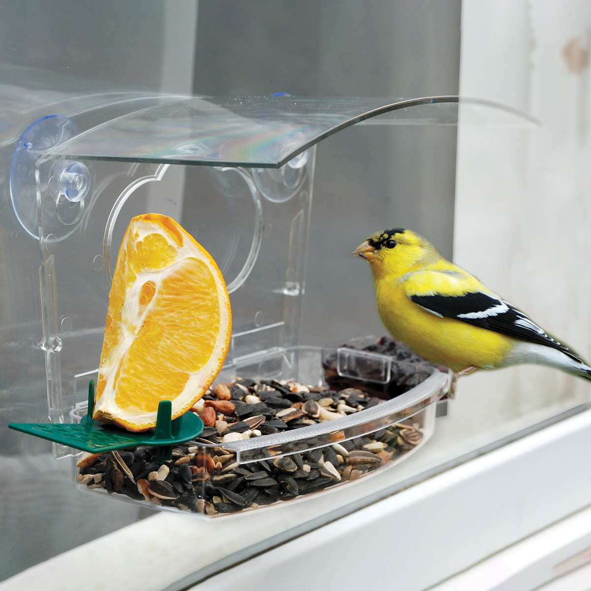 Window Cling Bird Feeder, Clear