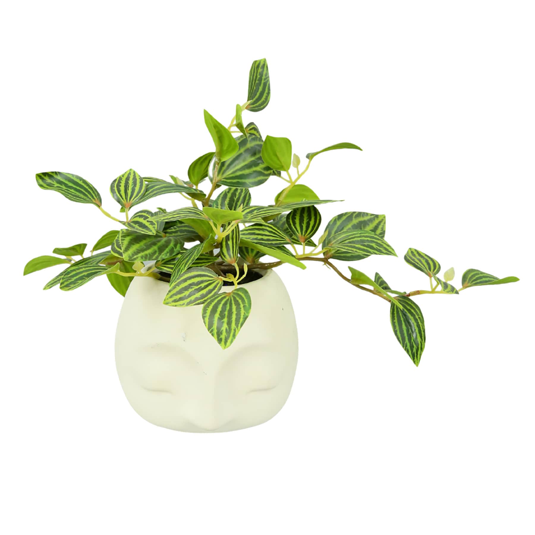 Taro in Face Pot, 10"