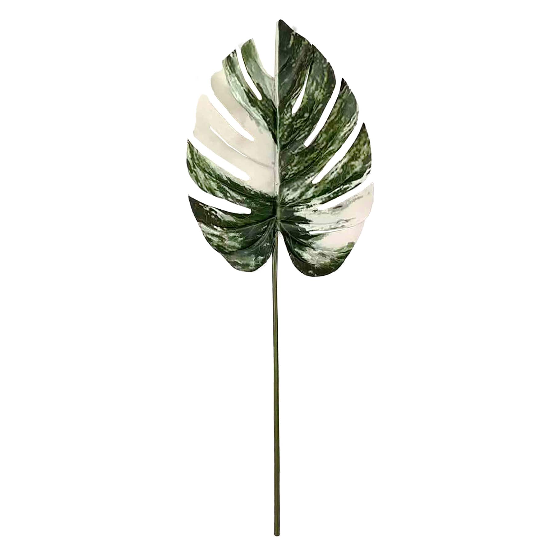 Variegated Monstera Leaf, 38"