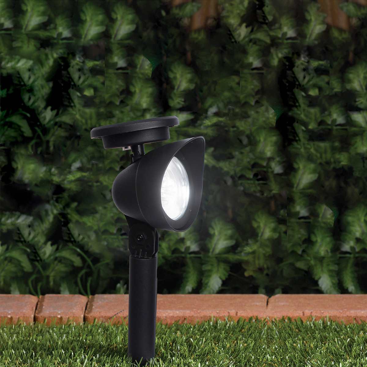 Solar Black Spotlight