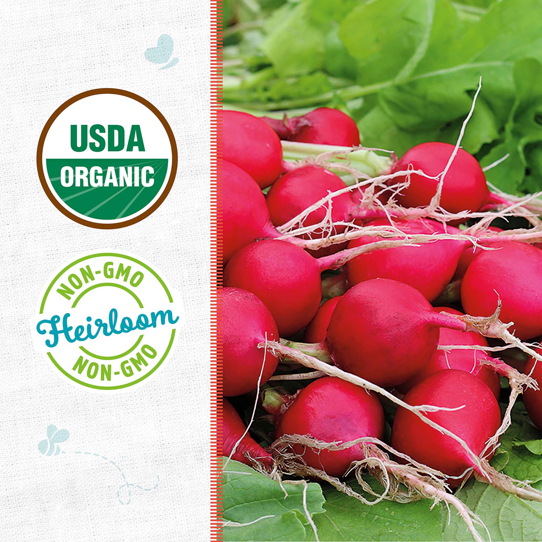 Back to Roots Heirloom Seeds, Radish Cherry Belle