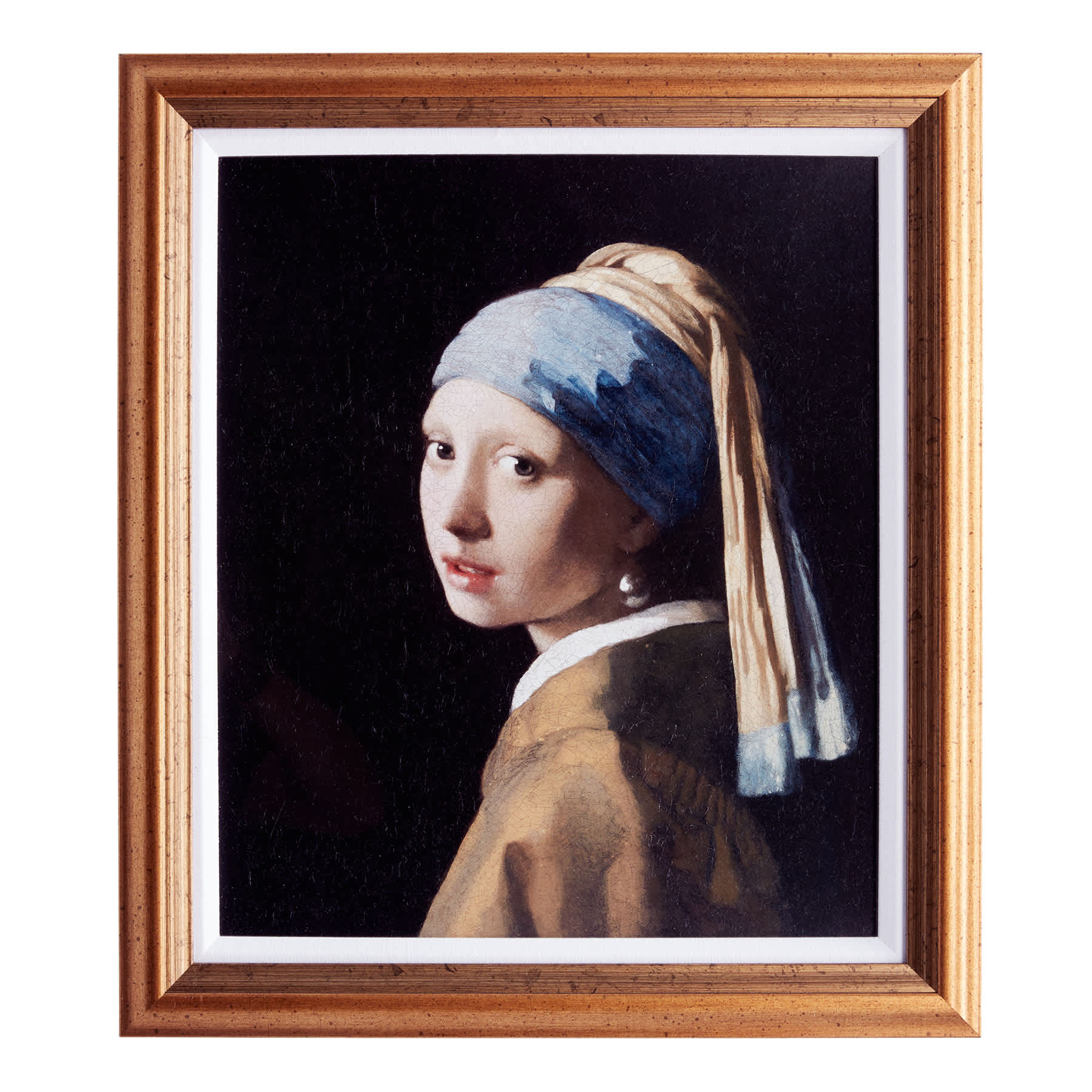 Glass Framed Girl with A Pearl Earring Print Wall Art, 17x20