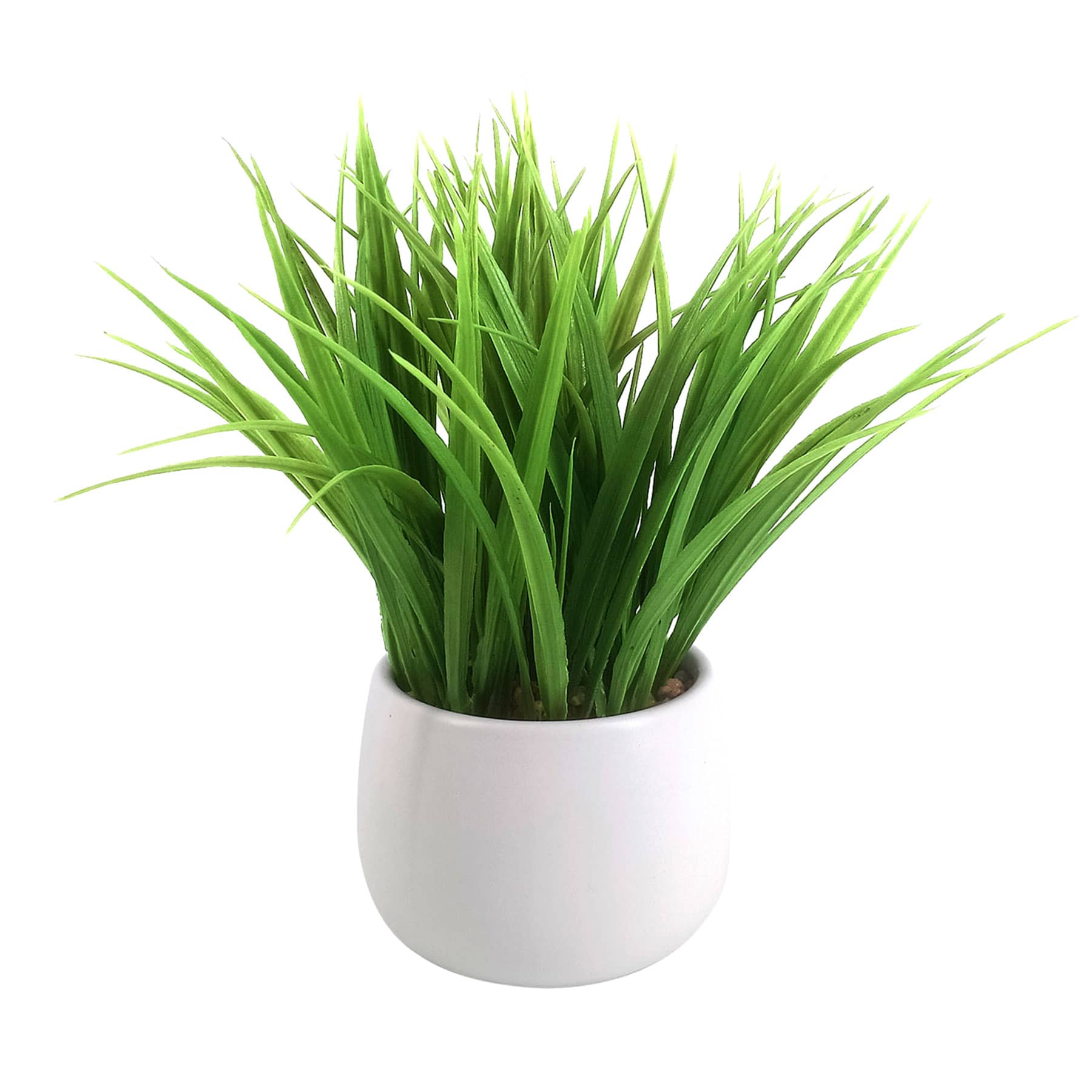 Ty Pennington Green Grass Bundle with Ceramic Planter, 10"