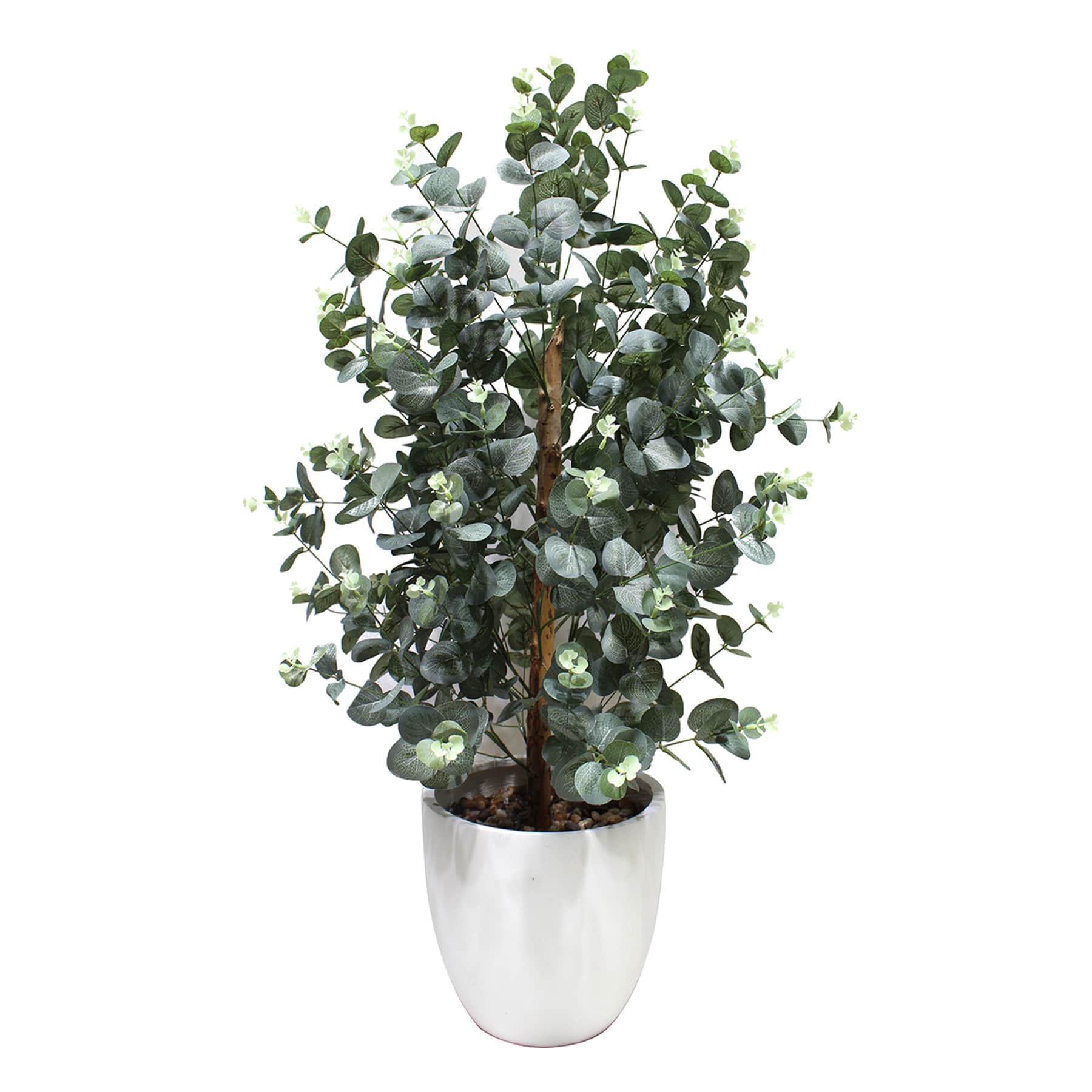 Eura in Cement Pot, 39"