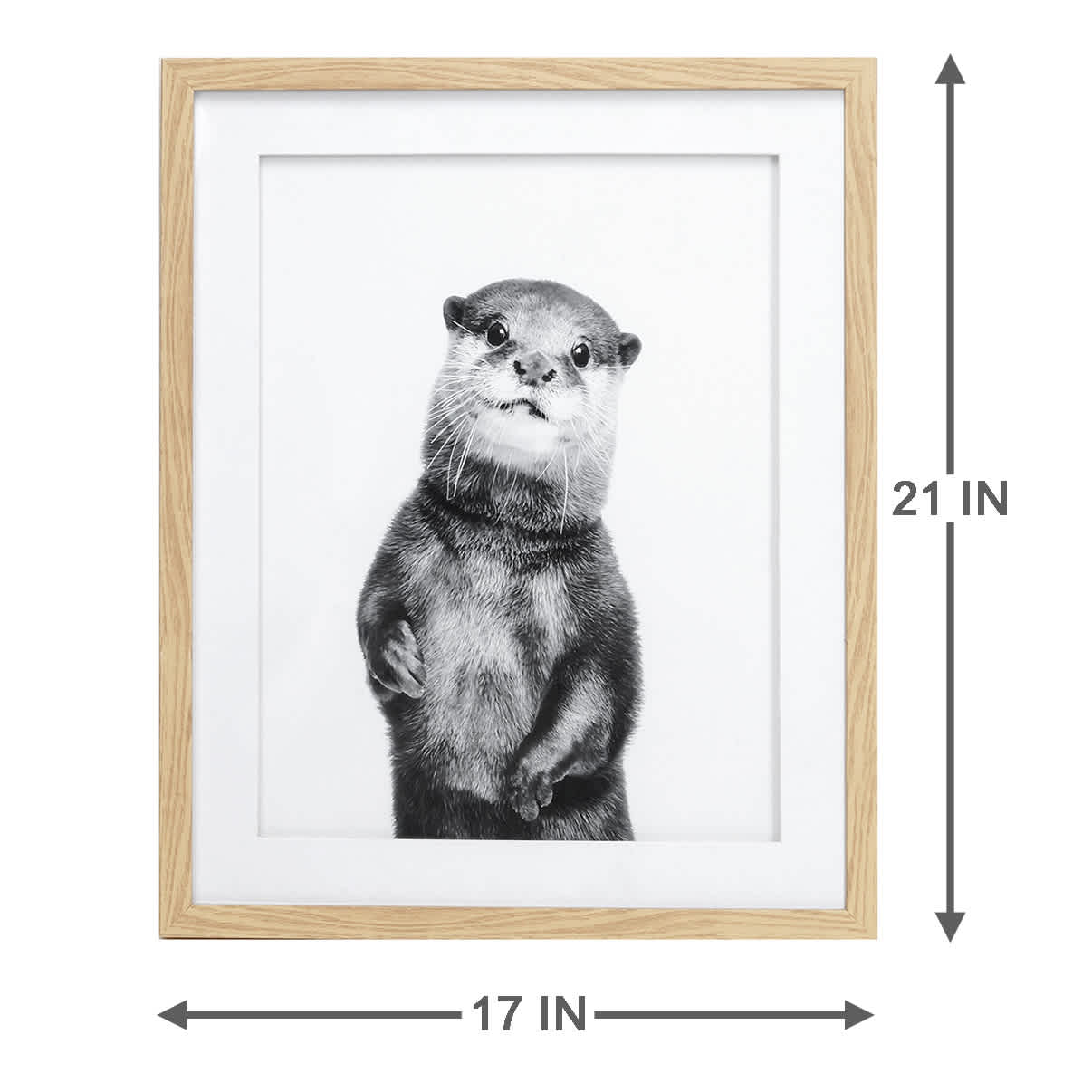 Glass Framed Otter Wall Art, 17x21