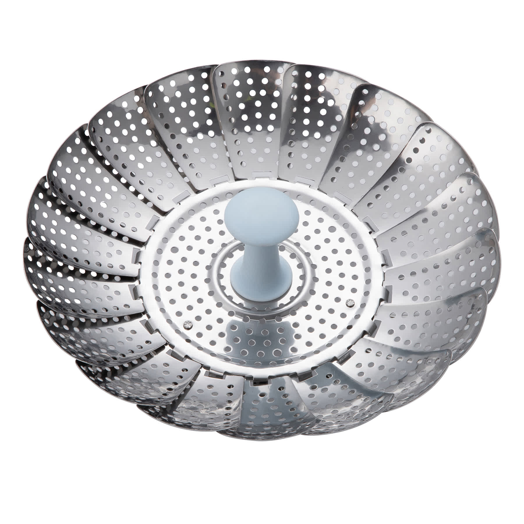 Metal Steamer