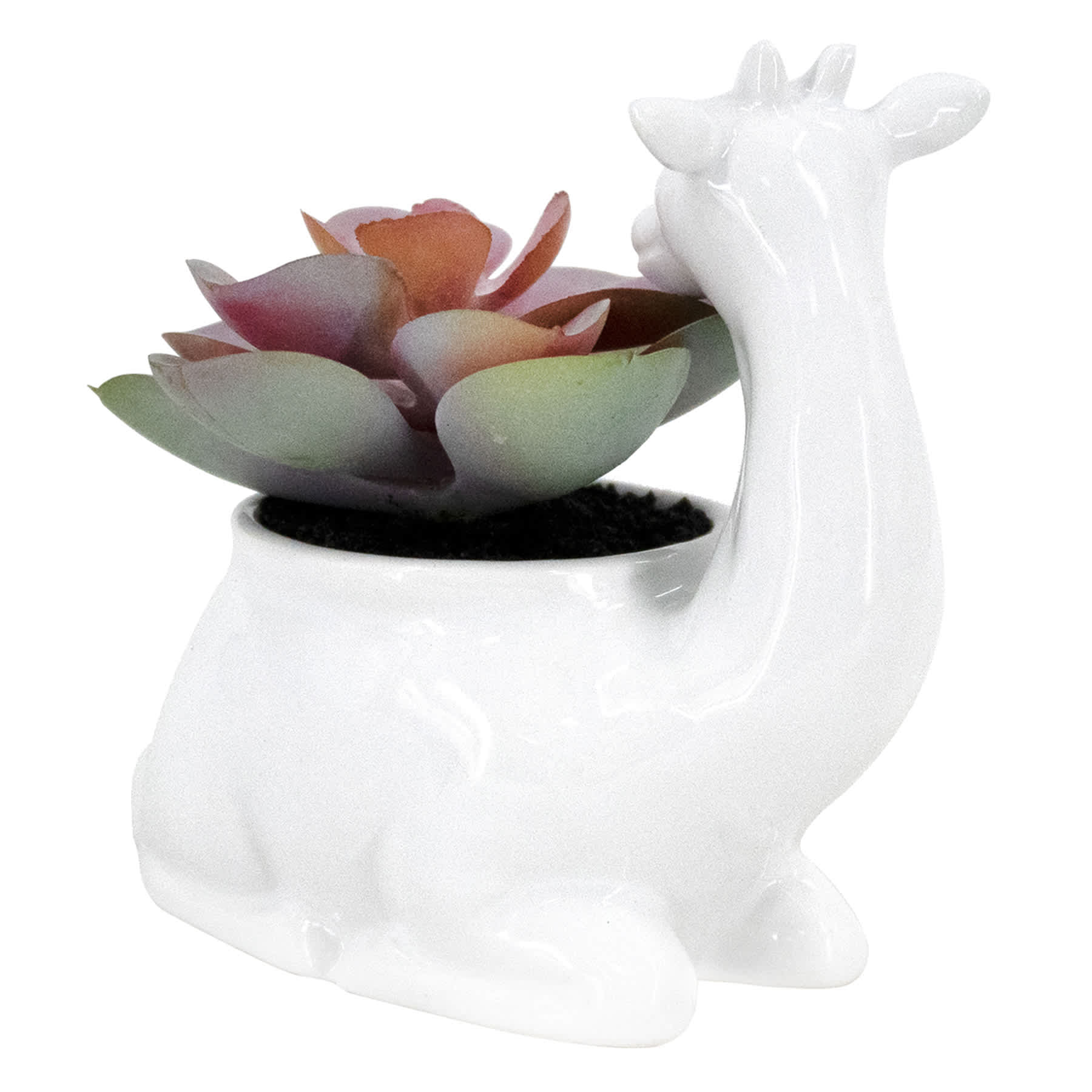 Succulent in Giraffe Pot, 4.5"
