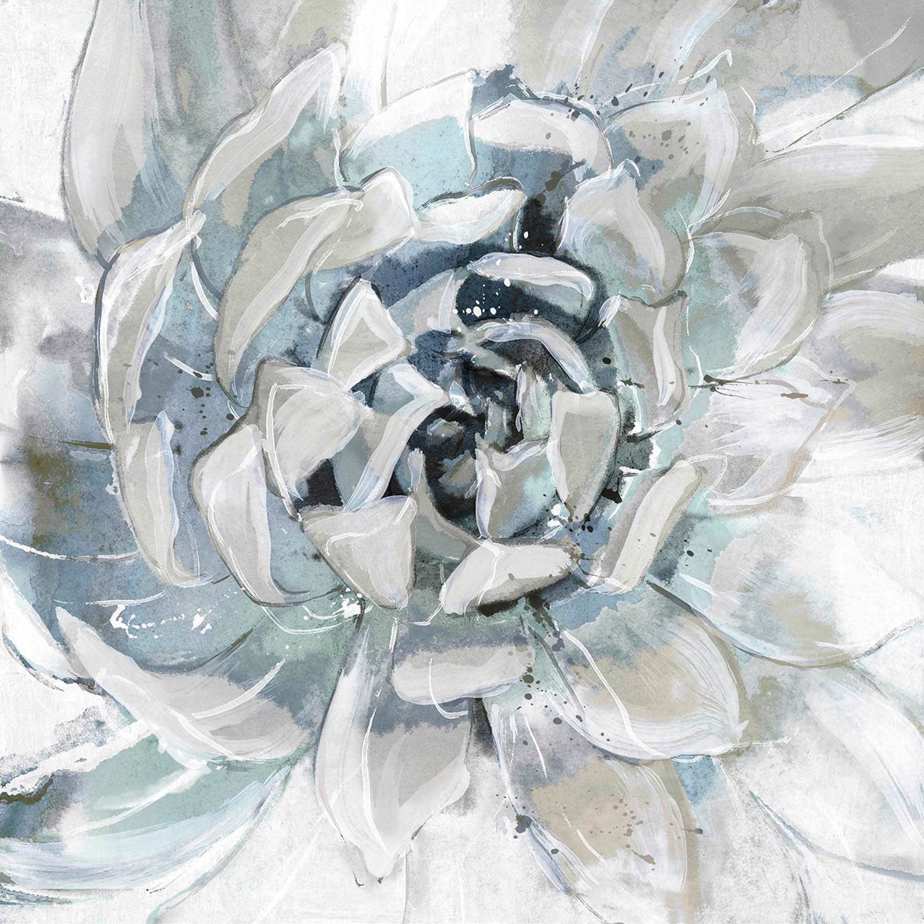 Cereus Aeonium Canvas Wall Art, 12"