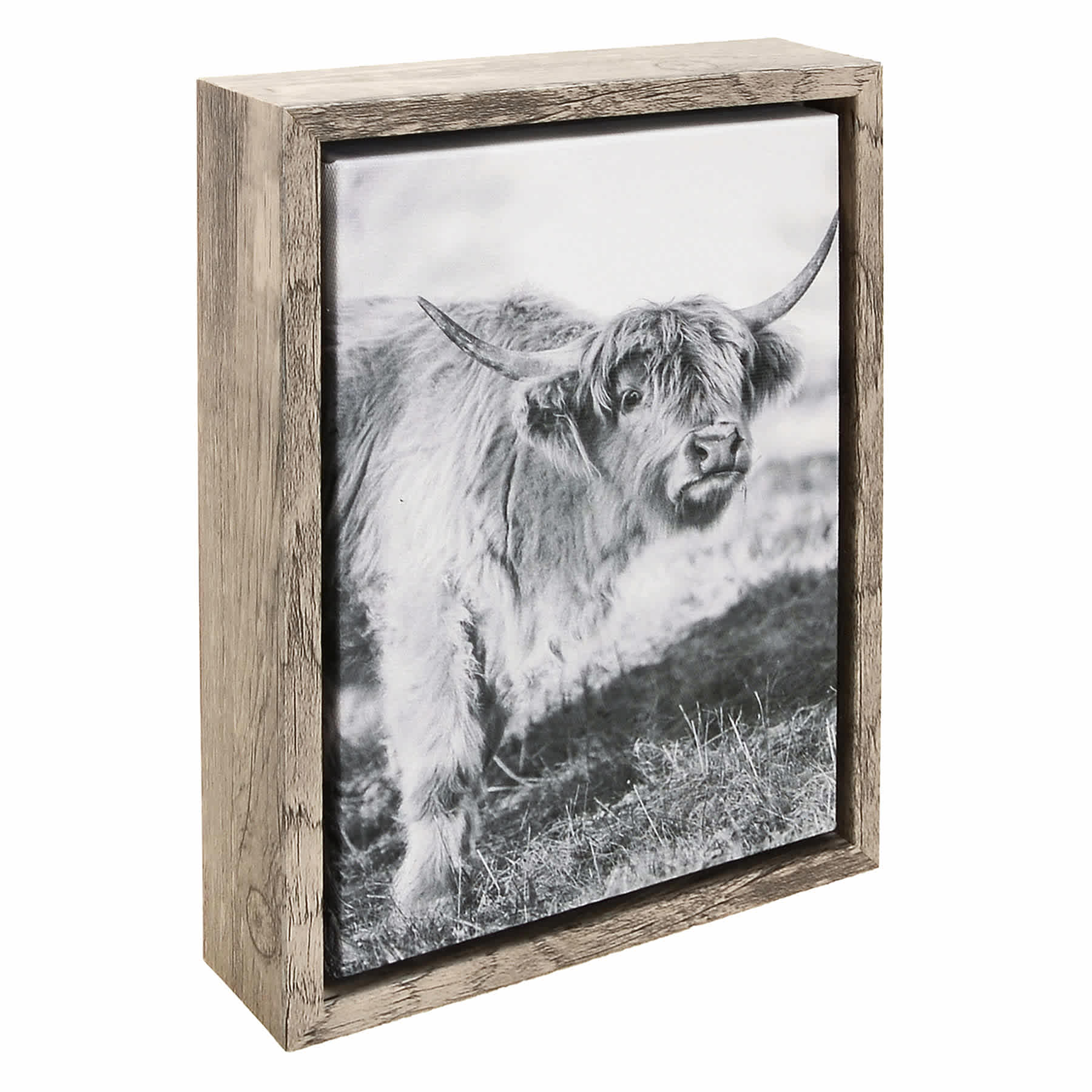 Ty Pennington Cow Print Framed Canvas, 5x7