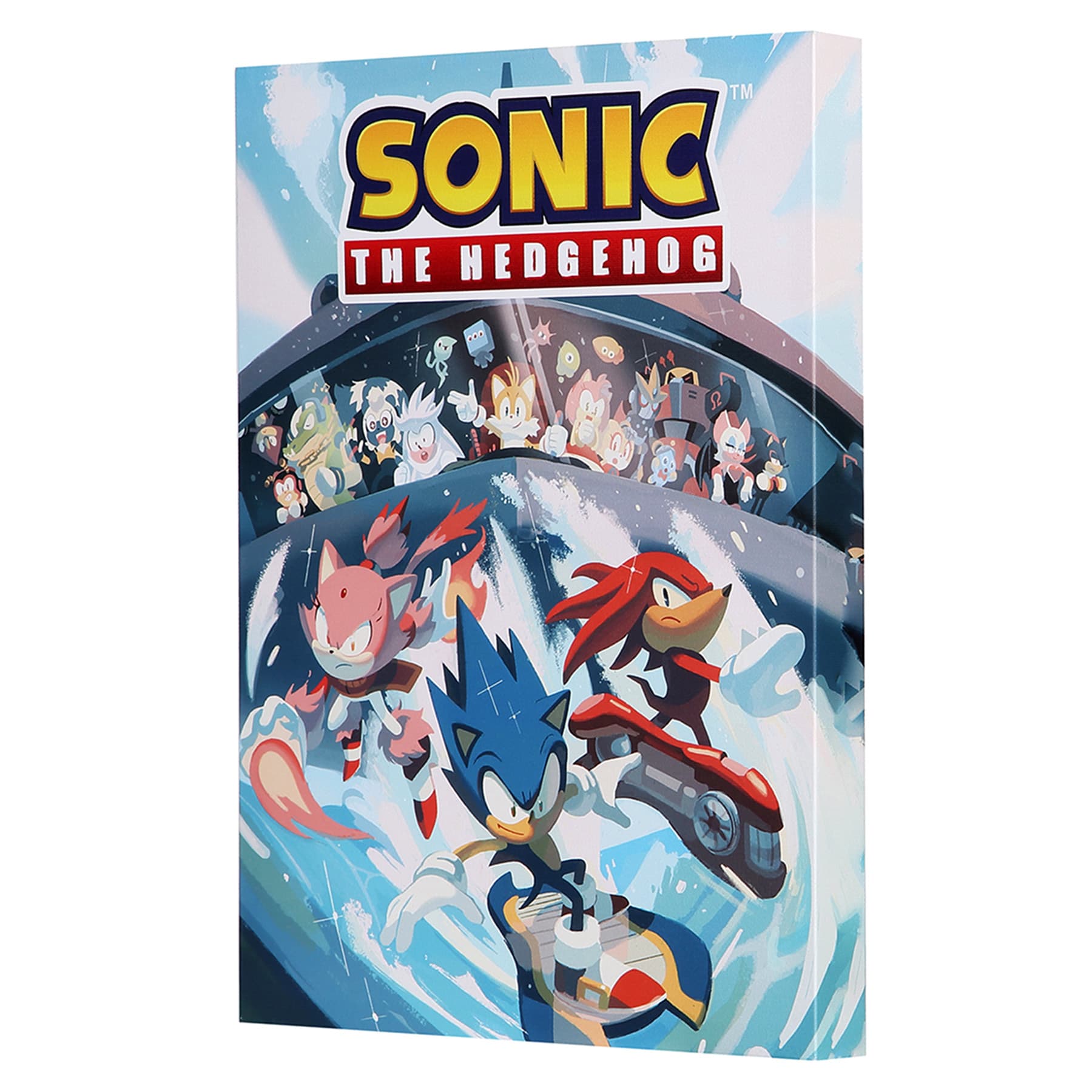 Sonic Canvas Wall Art, 11x14