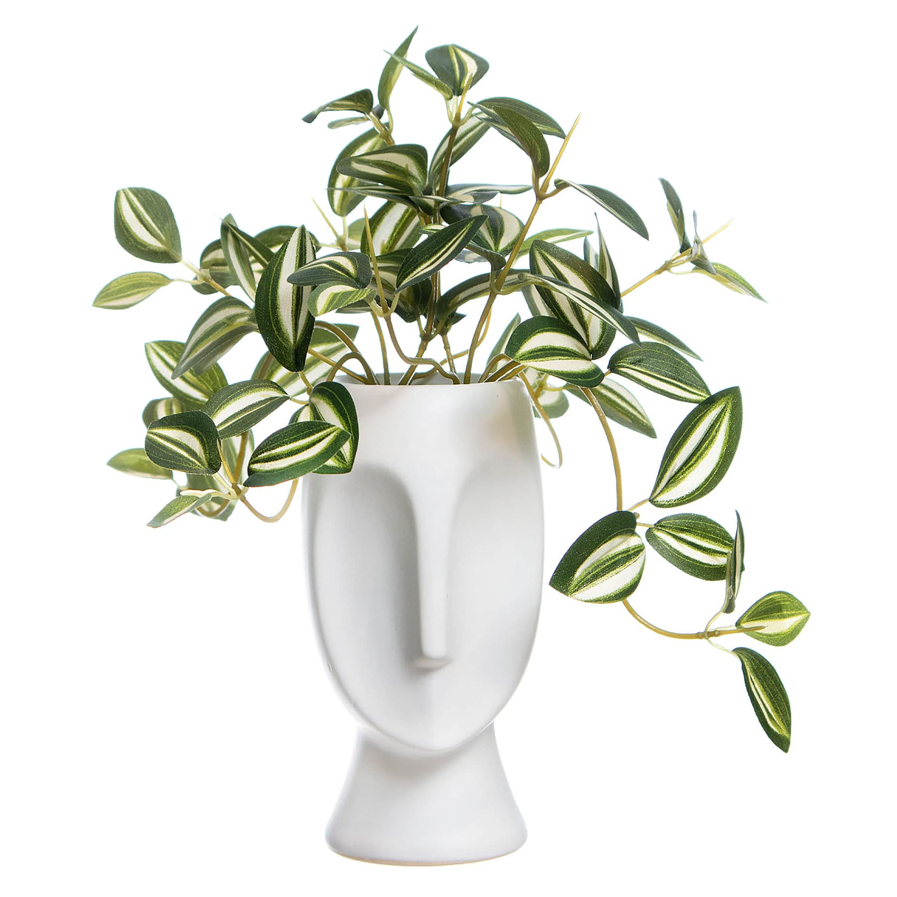 Silver Inch Plant in Cement Pot, 9"