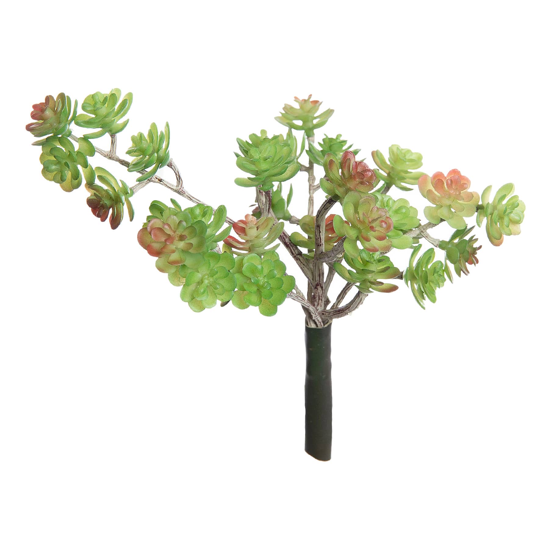 Green & Pink Mini Sedum Pick, 5.5"