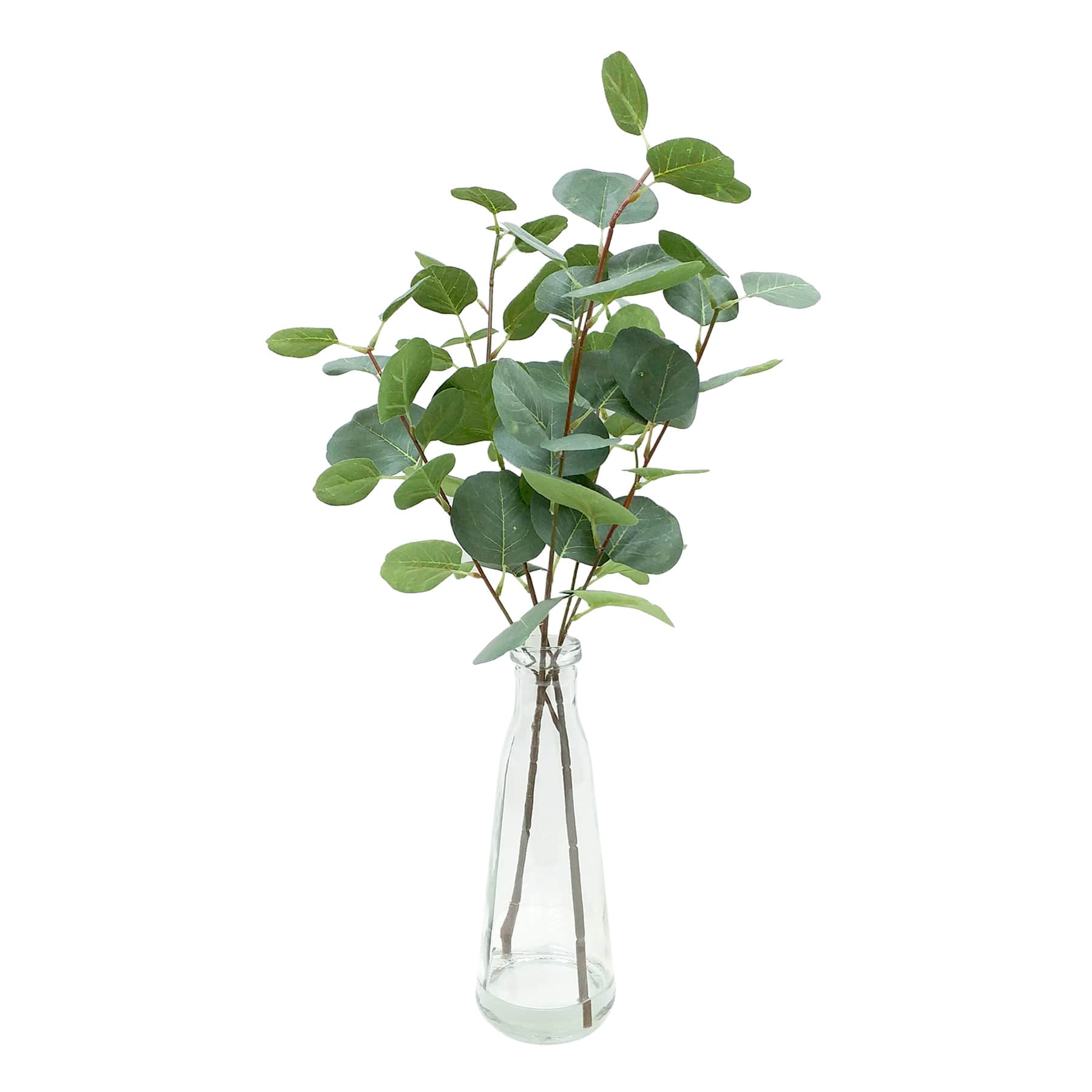 Eucalyptus Water Garden in Vase, 20"