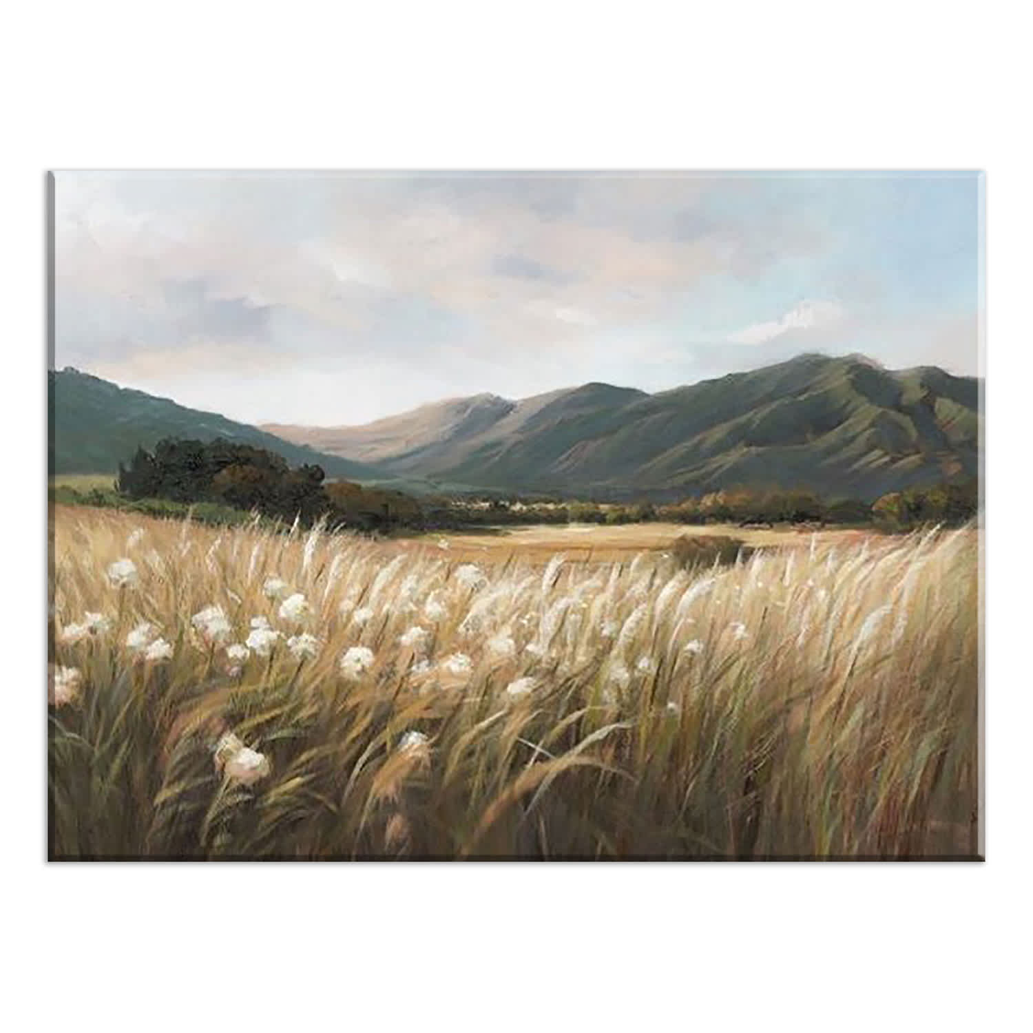30X40 Meadow Mountain Scene Hand Paint Canvas Wall Art