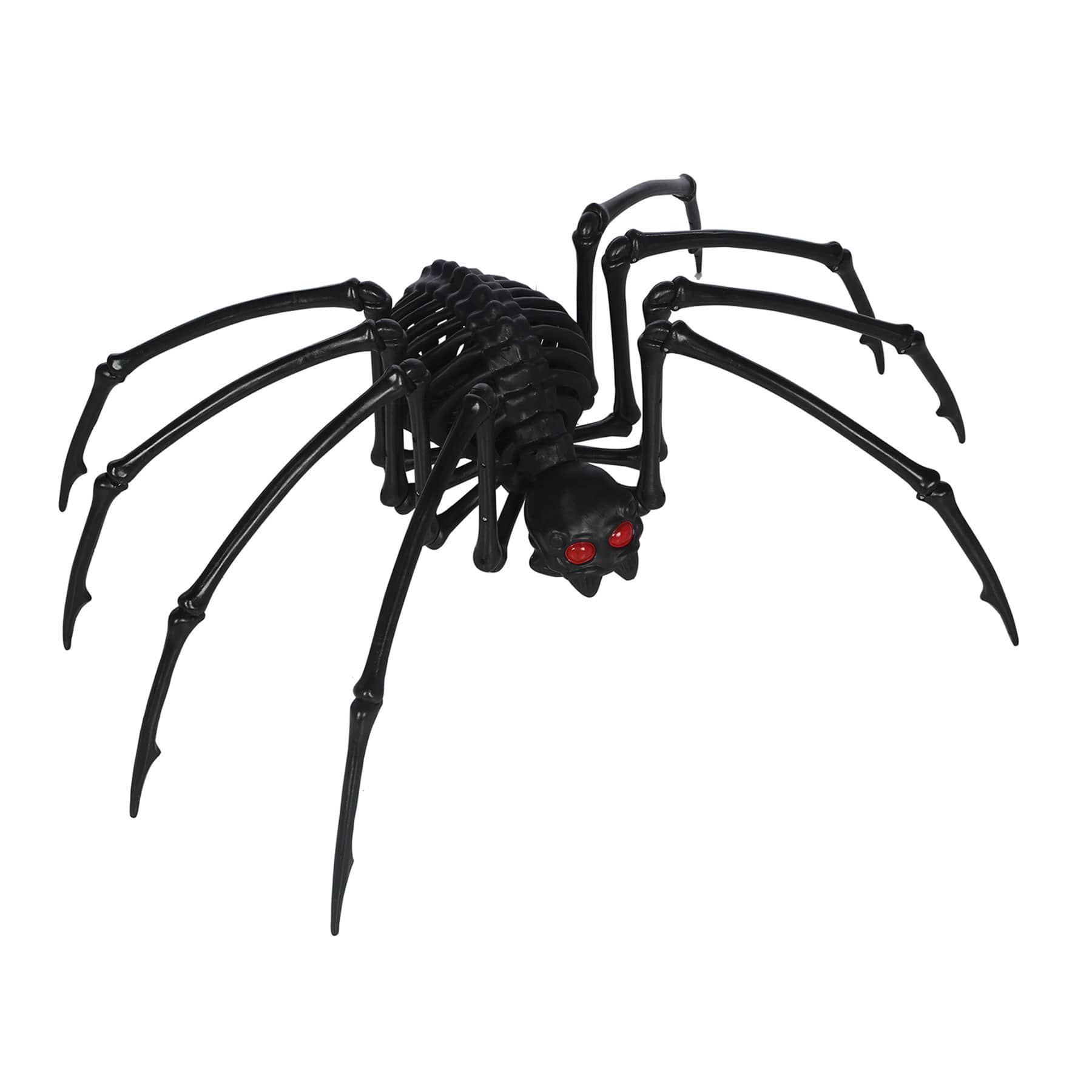 Spellbound Skeleton Spider