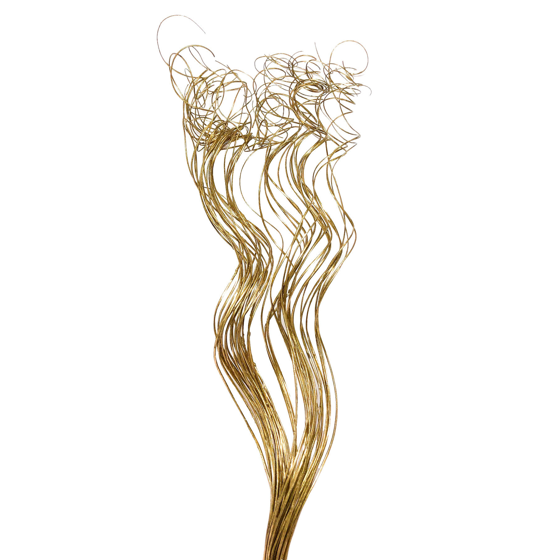 Gold Curly Ting Bundle, 28"