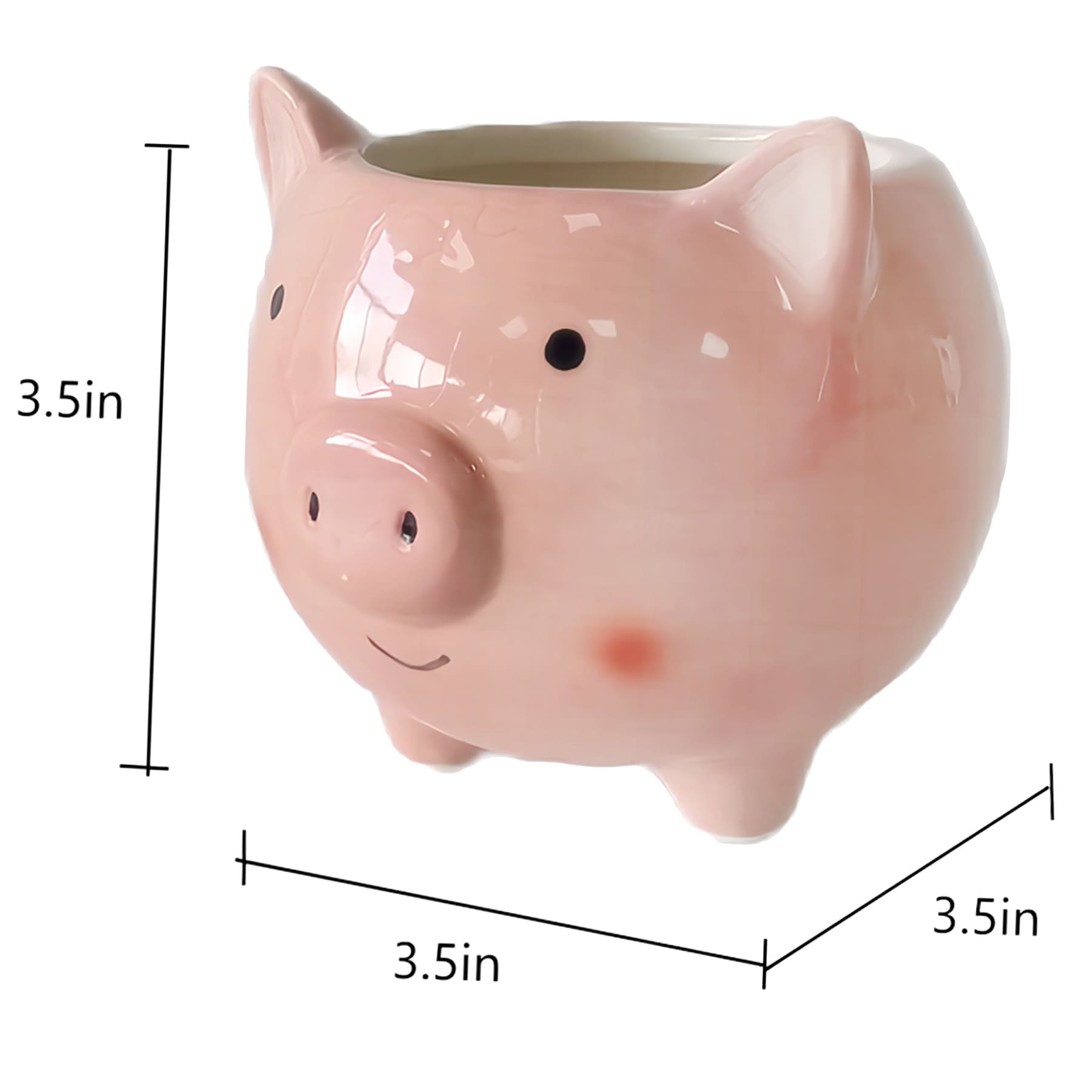 Indoor Pig Ceramic Planter, 3"