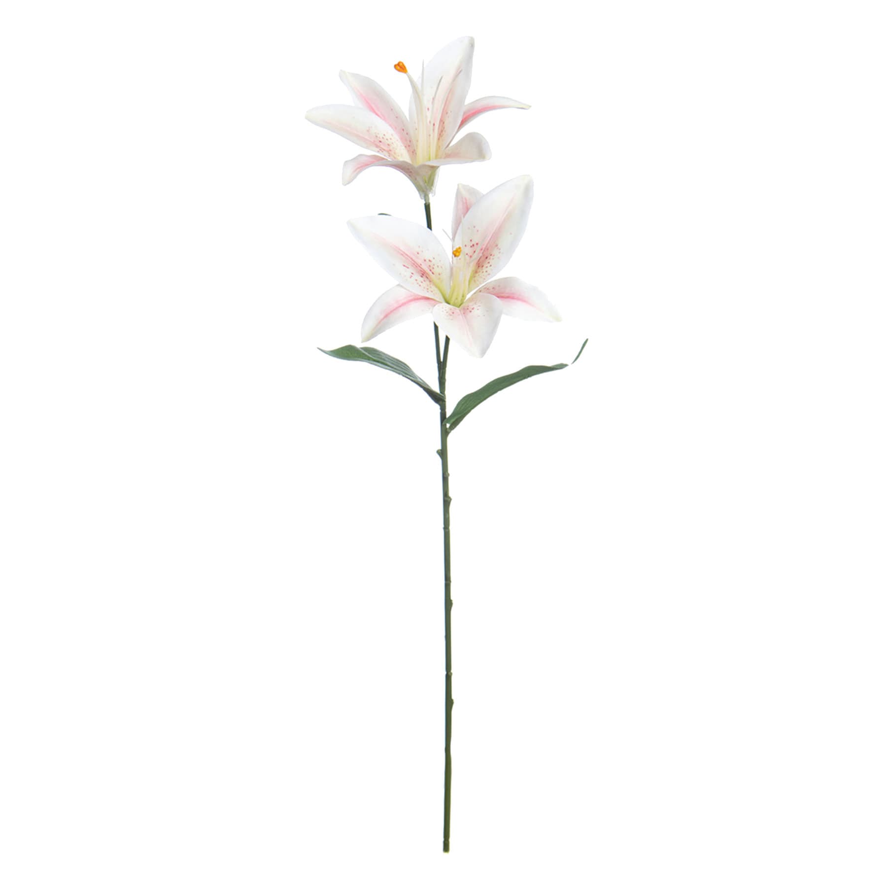 White & Pink Casablanca Spray, 23"