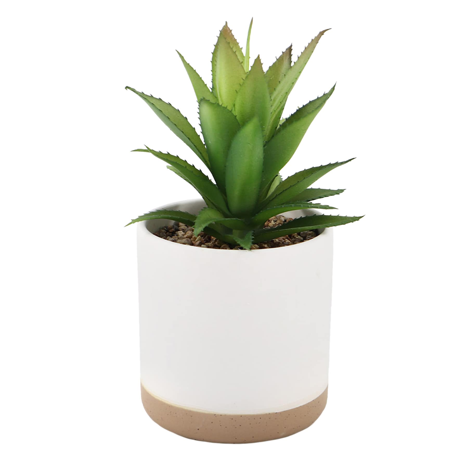 Succulent with Ceramic Planter, 7.5"