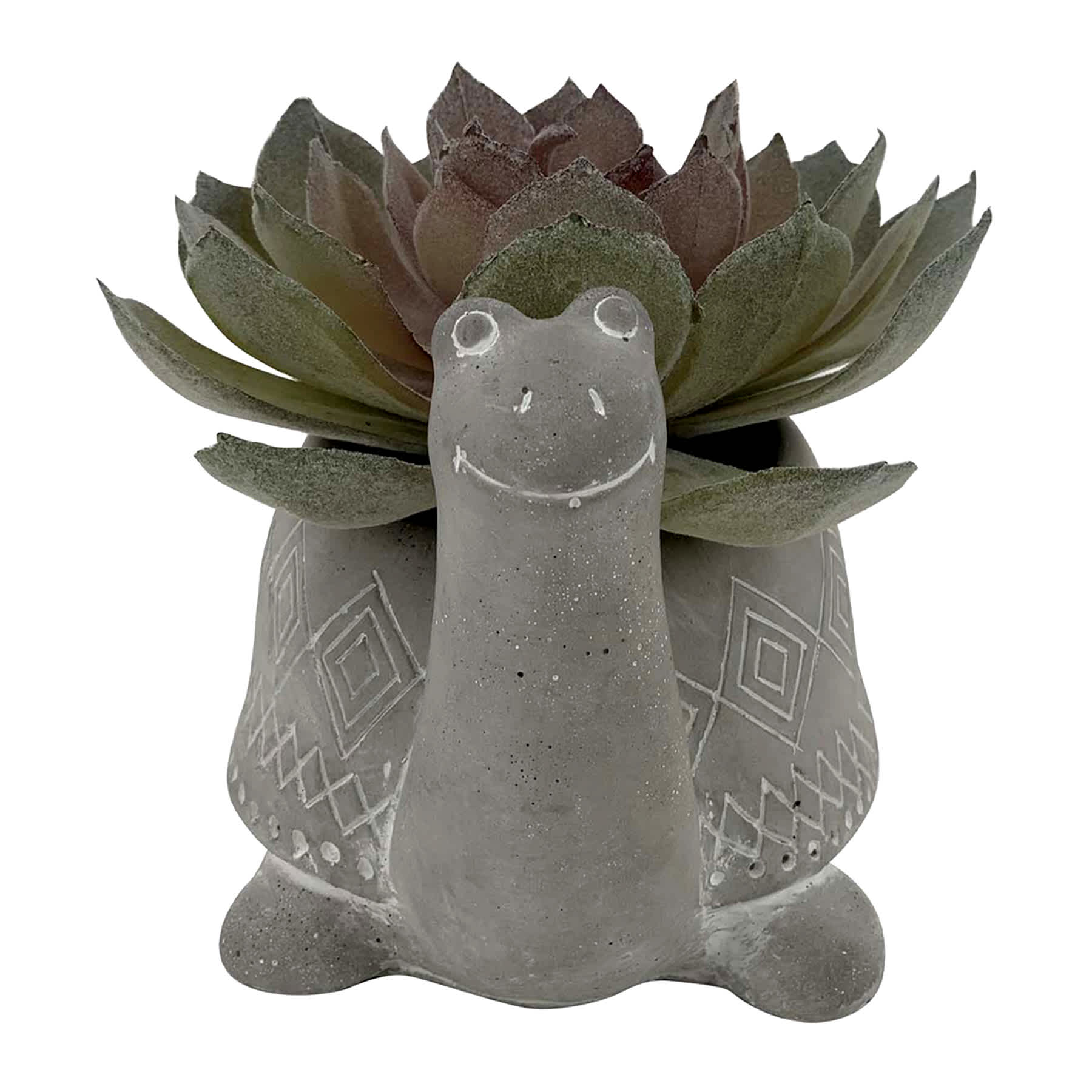 Succulent in Pot, 4"