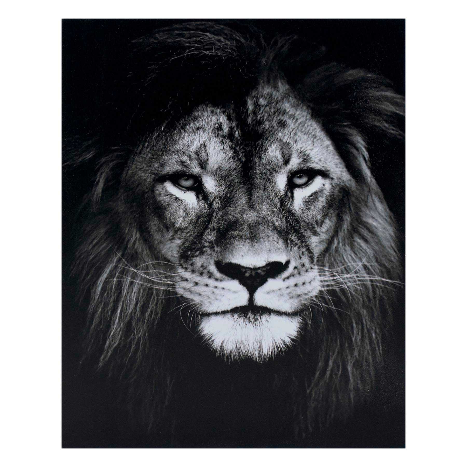 Lion Block, 8x10