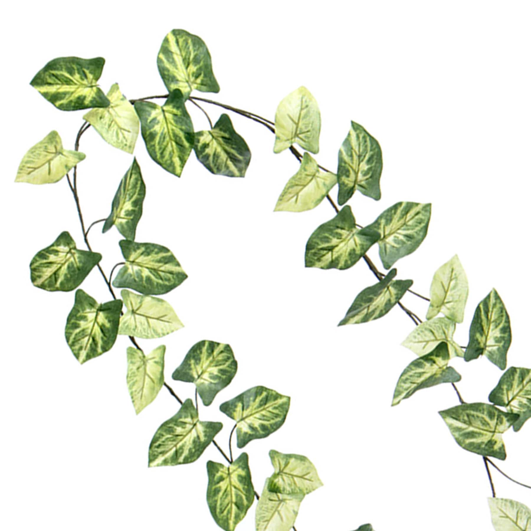 Symgonium Garland, 72"