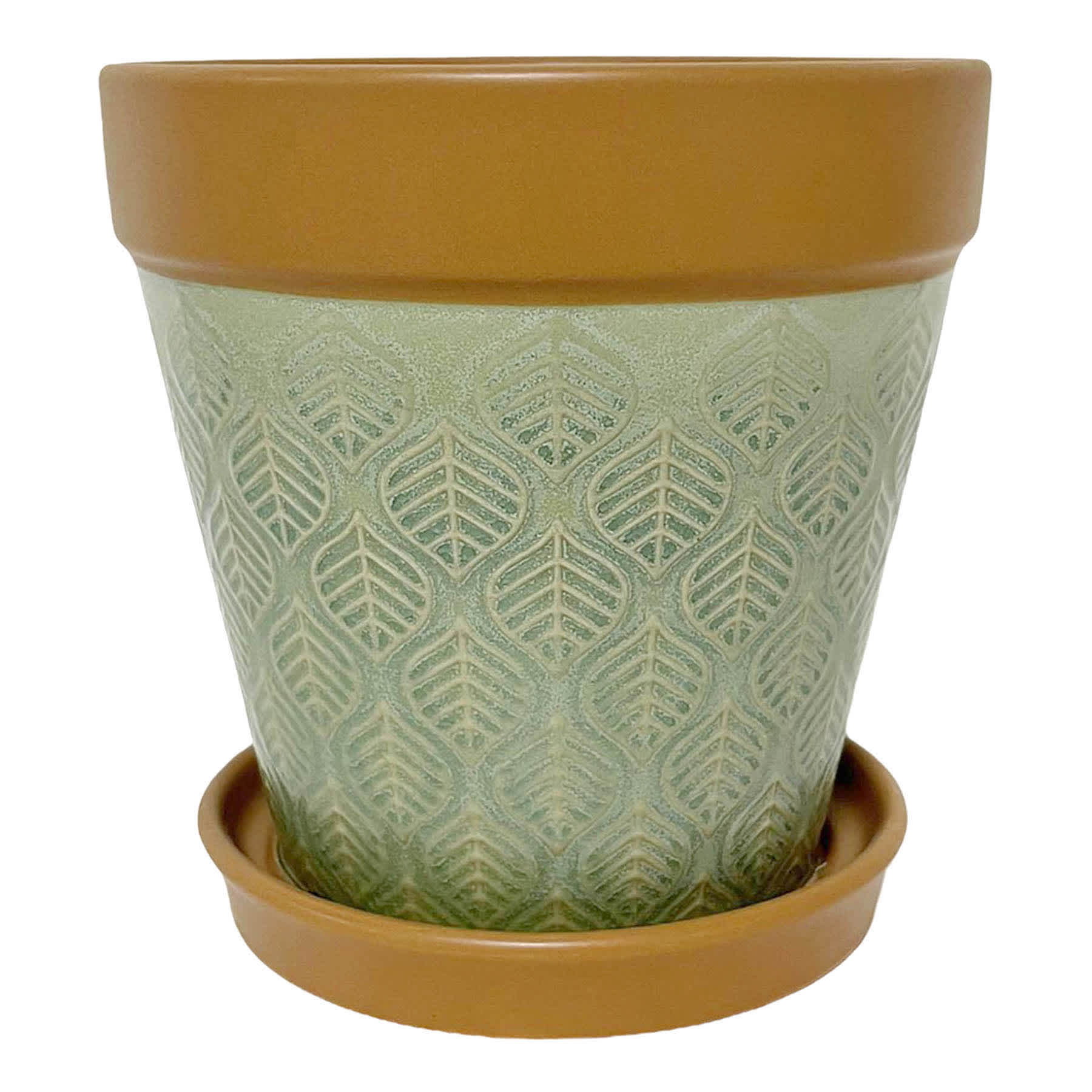 Indoor Sierra Green Planter with Saucer, 6"