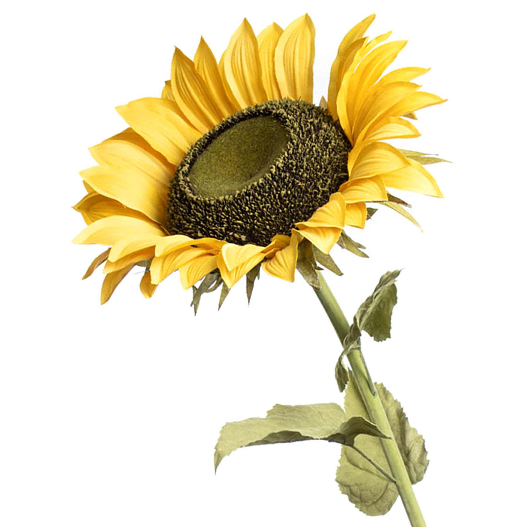Oversized Sunflower Stem, 49"