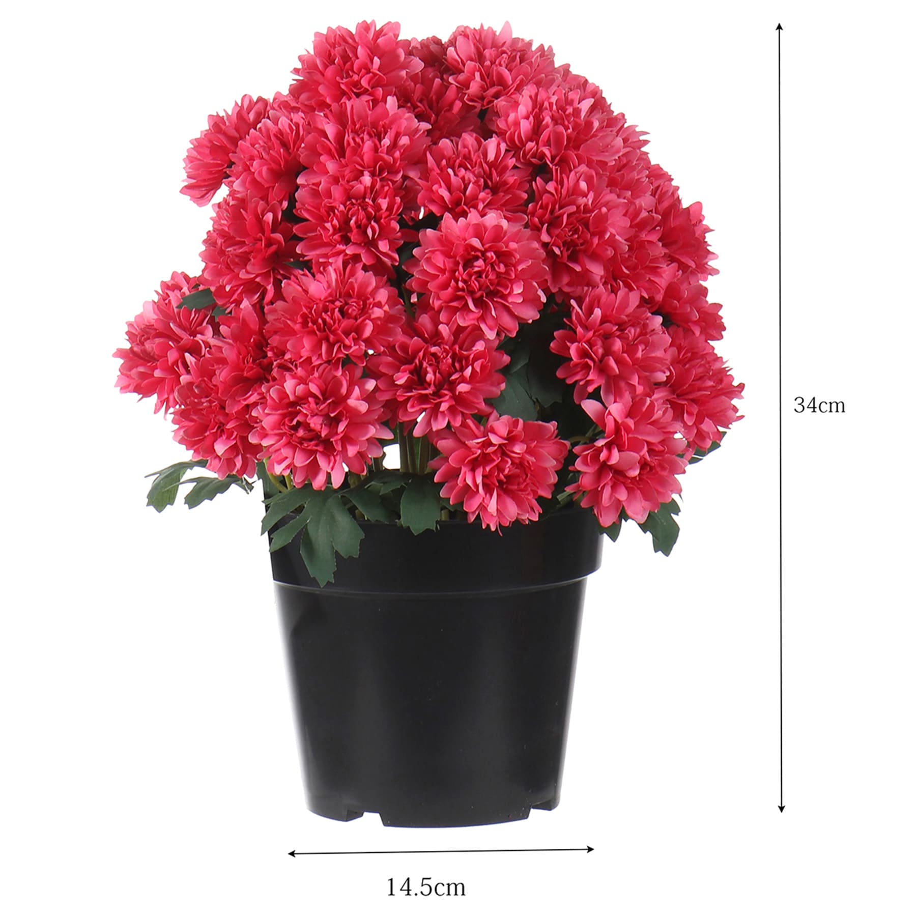 Pink Mum Flower in Black Plastic Pot, 13"