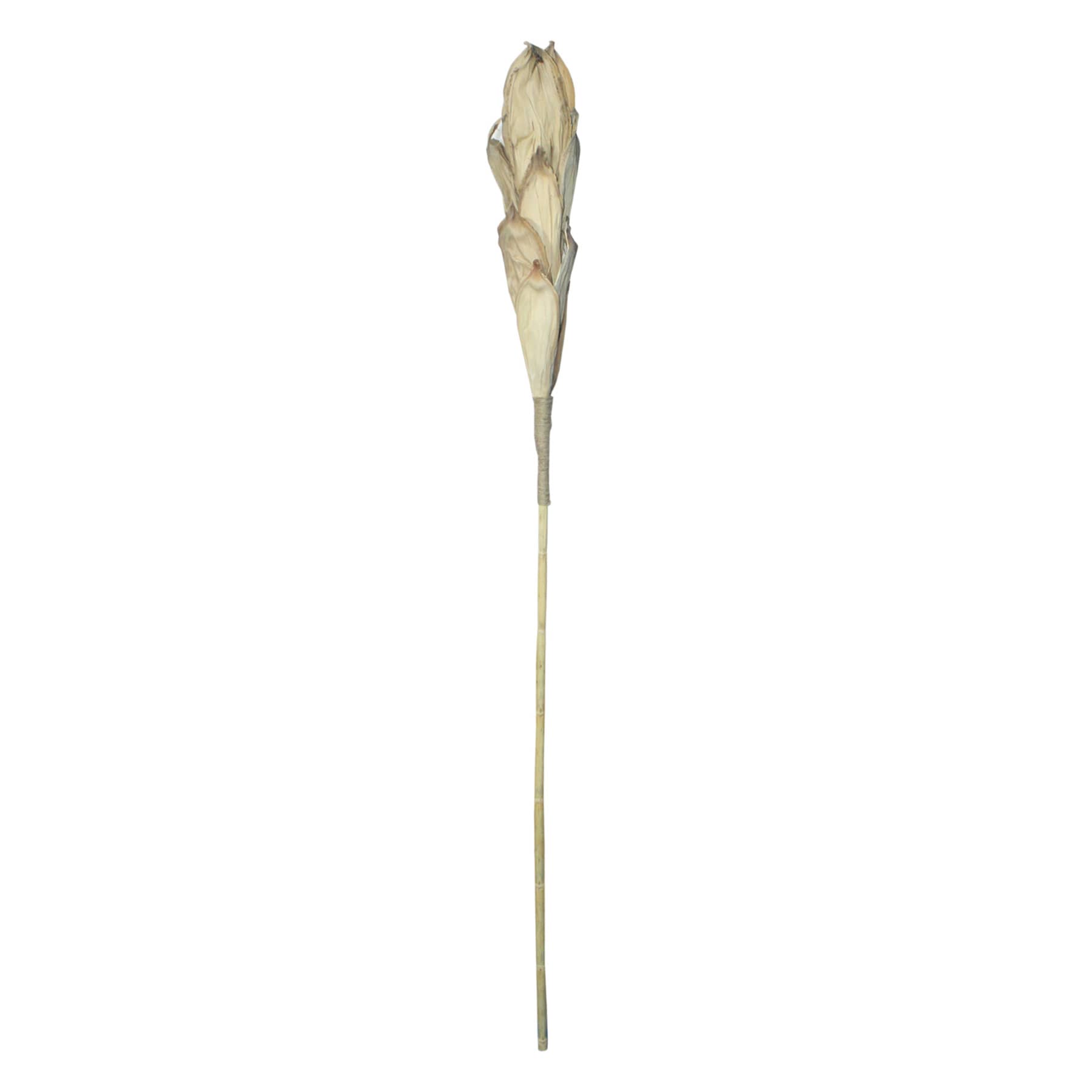 Natural Cob Stem, 80"