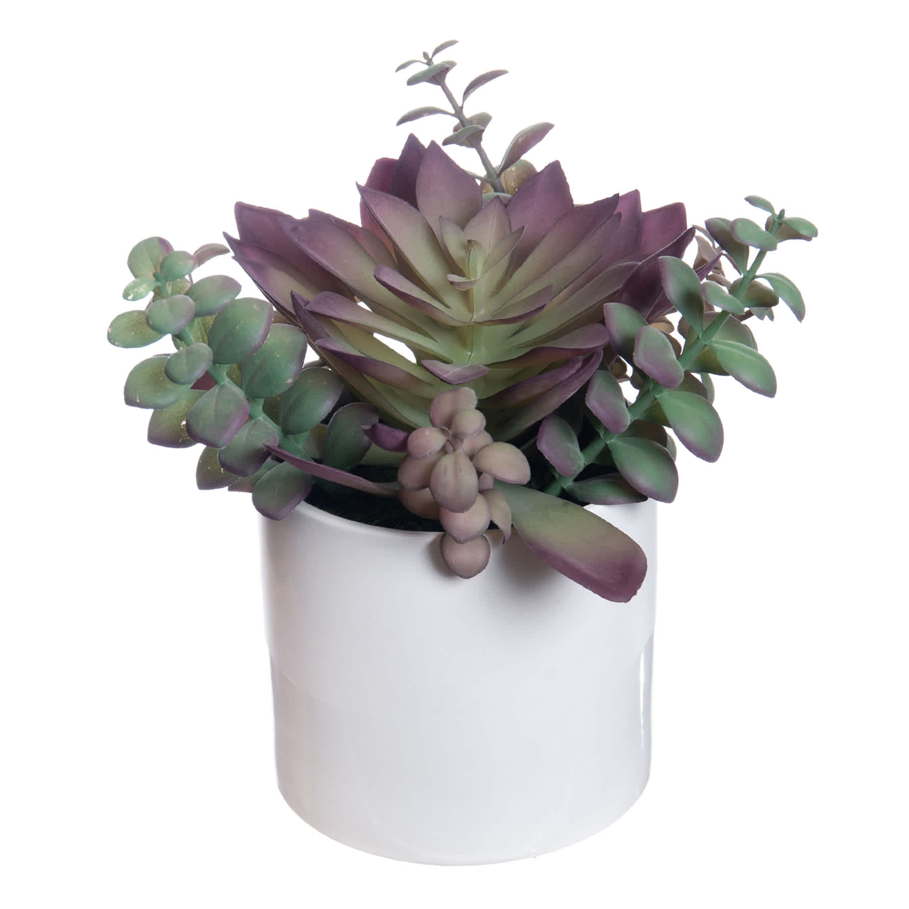 Succulent Mix with White Planter, 9"