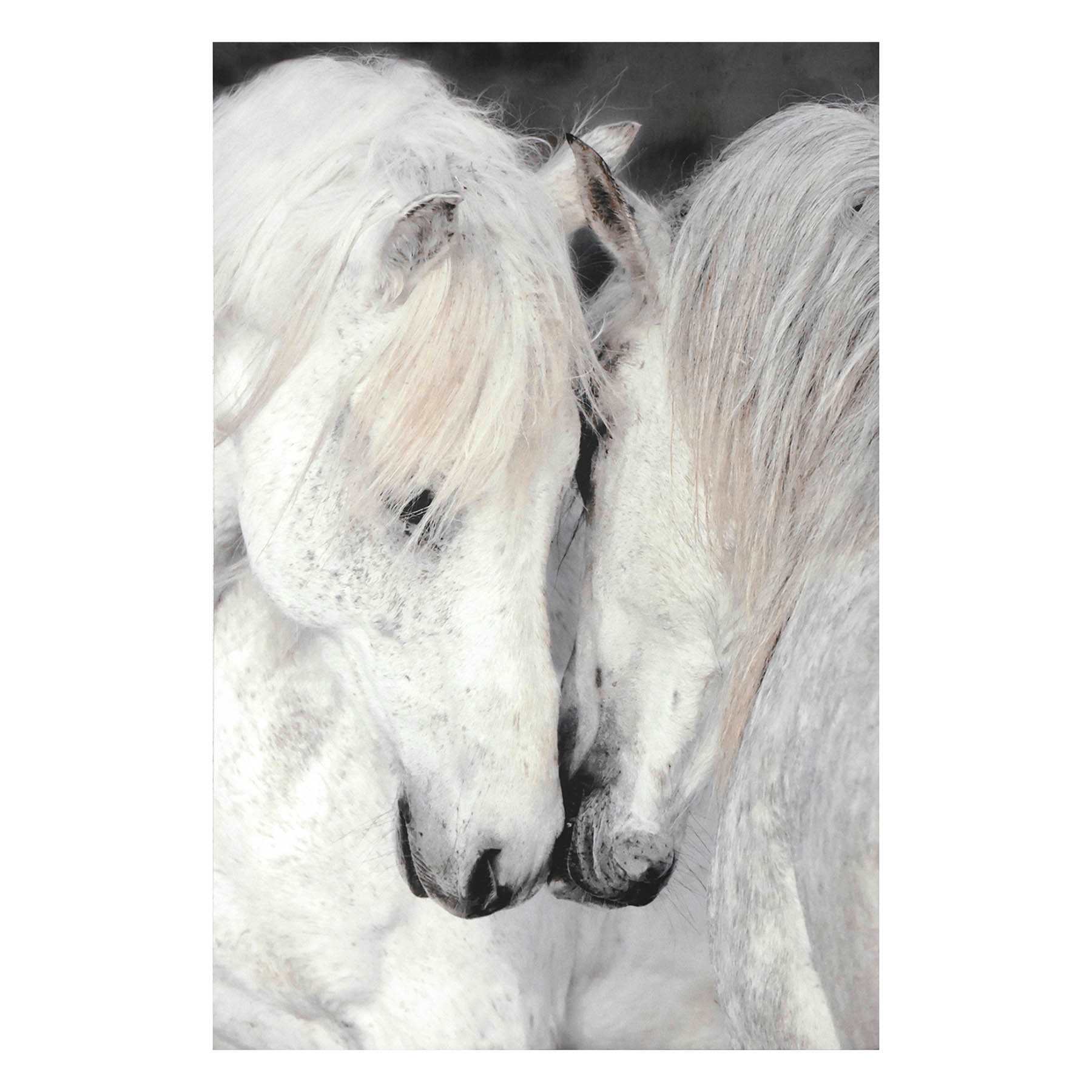 Black & White Horses Canvas Wall Art, 24x36