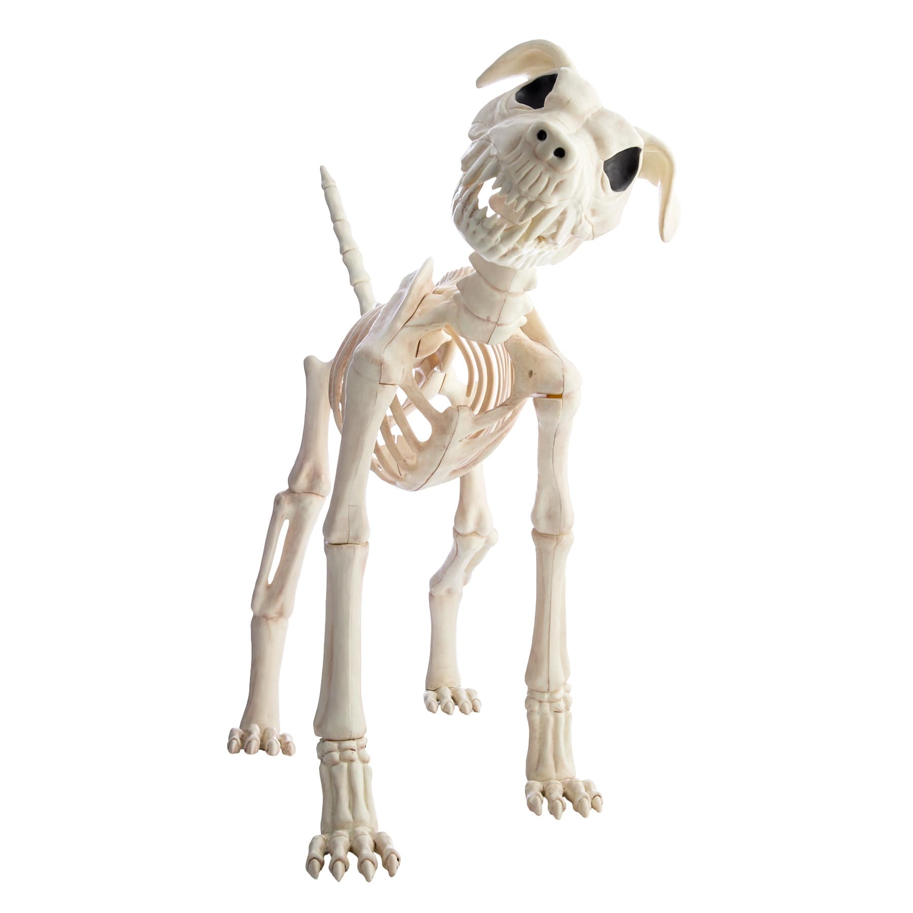 Buster Bonez