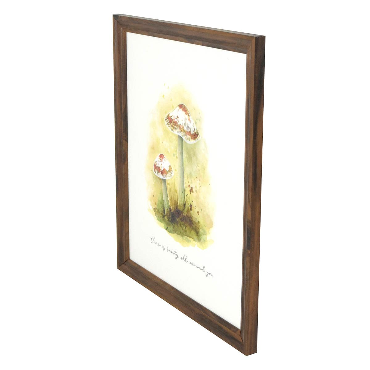 Honeybloom Framed Mushroom Print Wall Art, 13x16