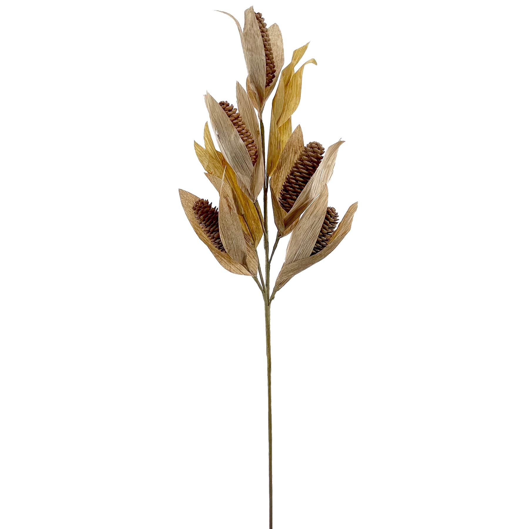 Corn Stem, 31"