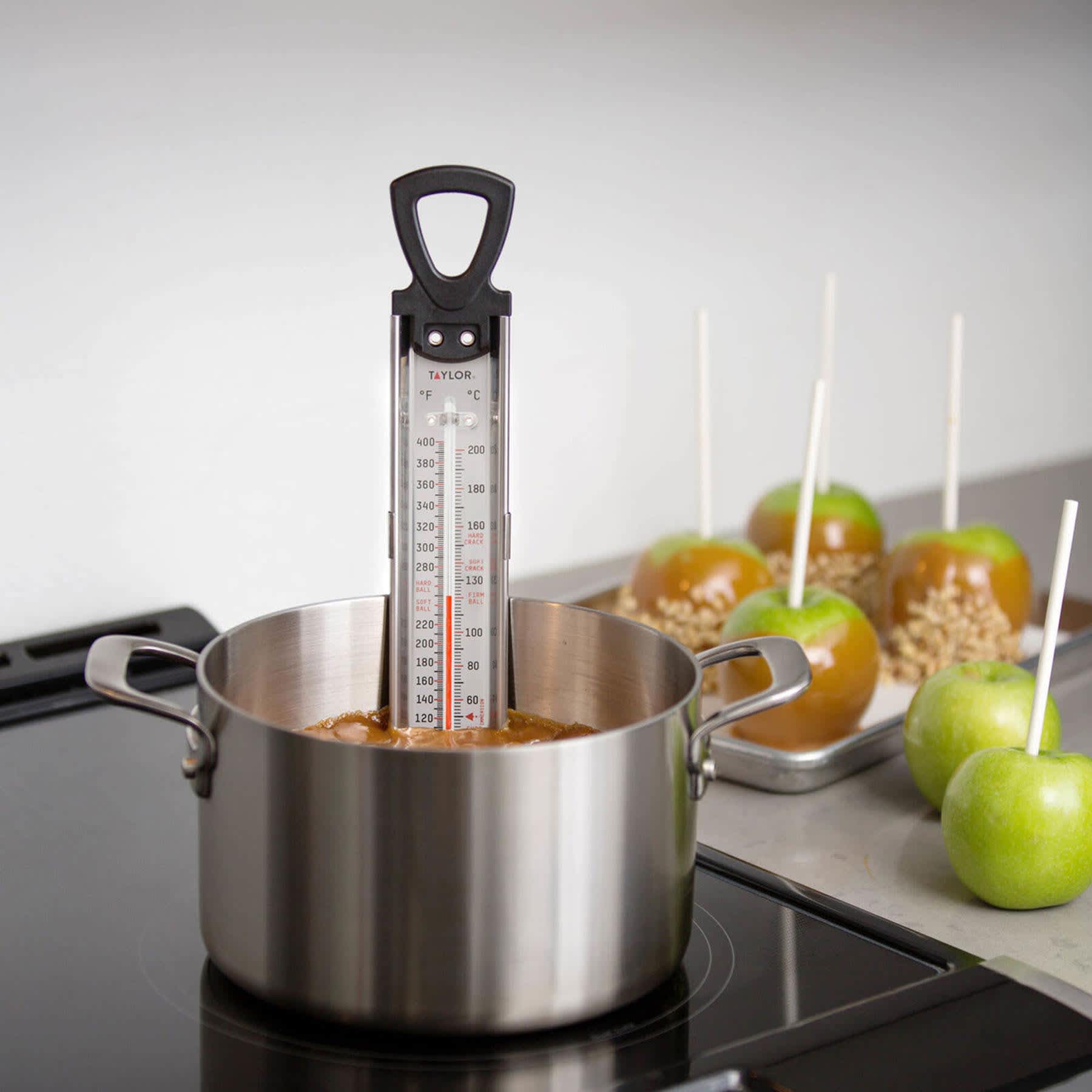 Taylor Leave-In Stainless Steel Thermometer