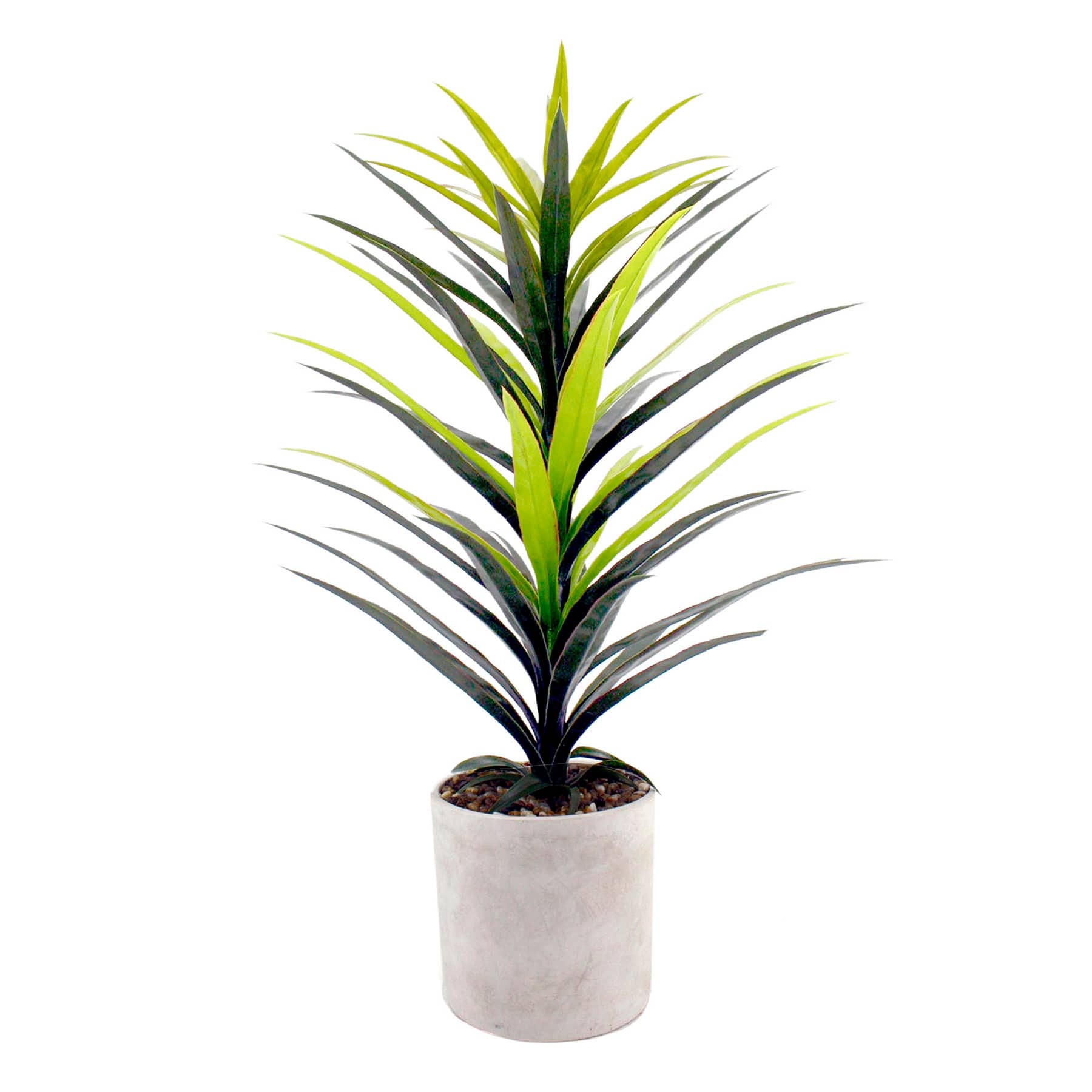 Yucca Tree with Cement Planter, 42"