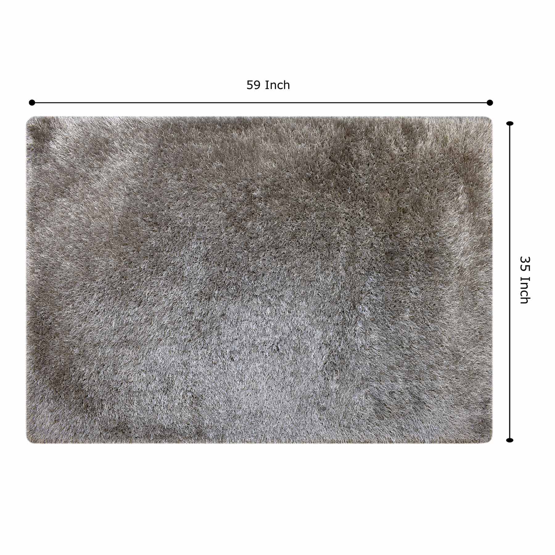 (C199) Eve Silver Shag Accent Rug, 3x5