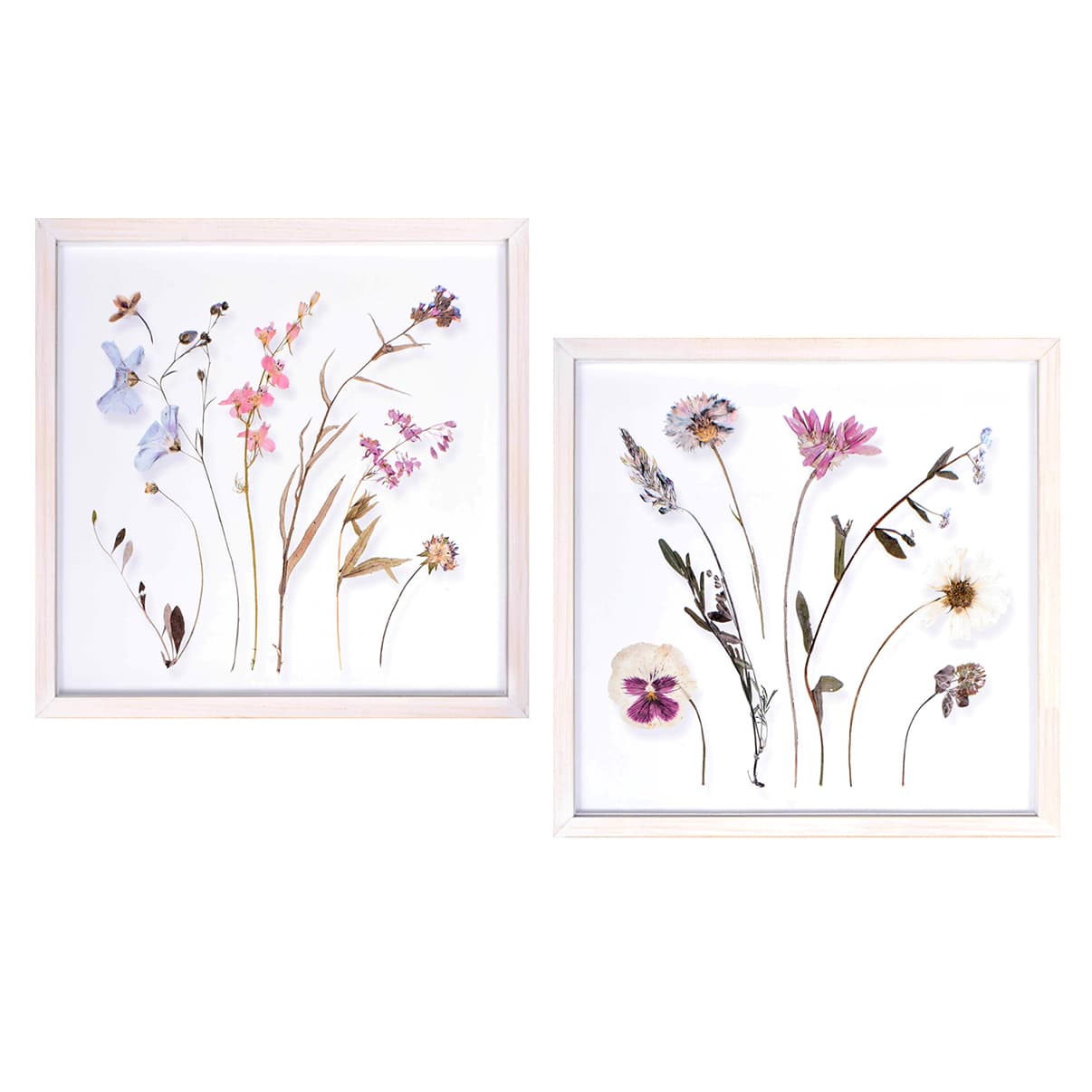 2-Piece Glass Framed Floral Shadowboxes Wall Art, 14'
