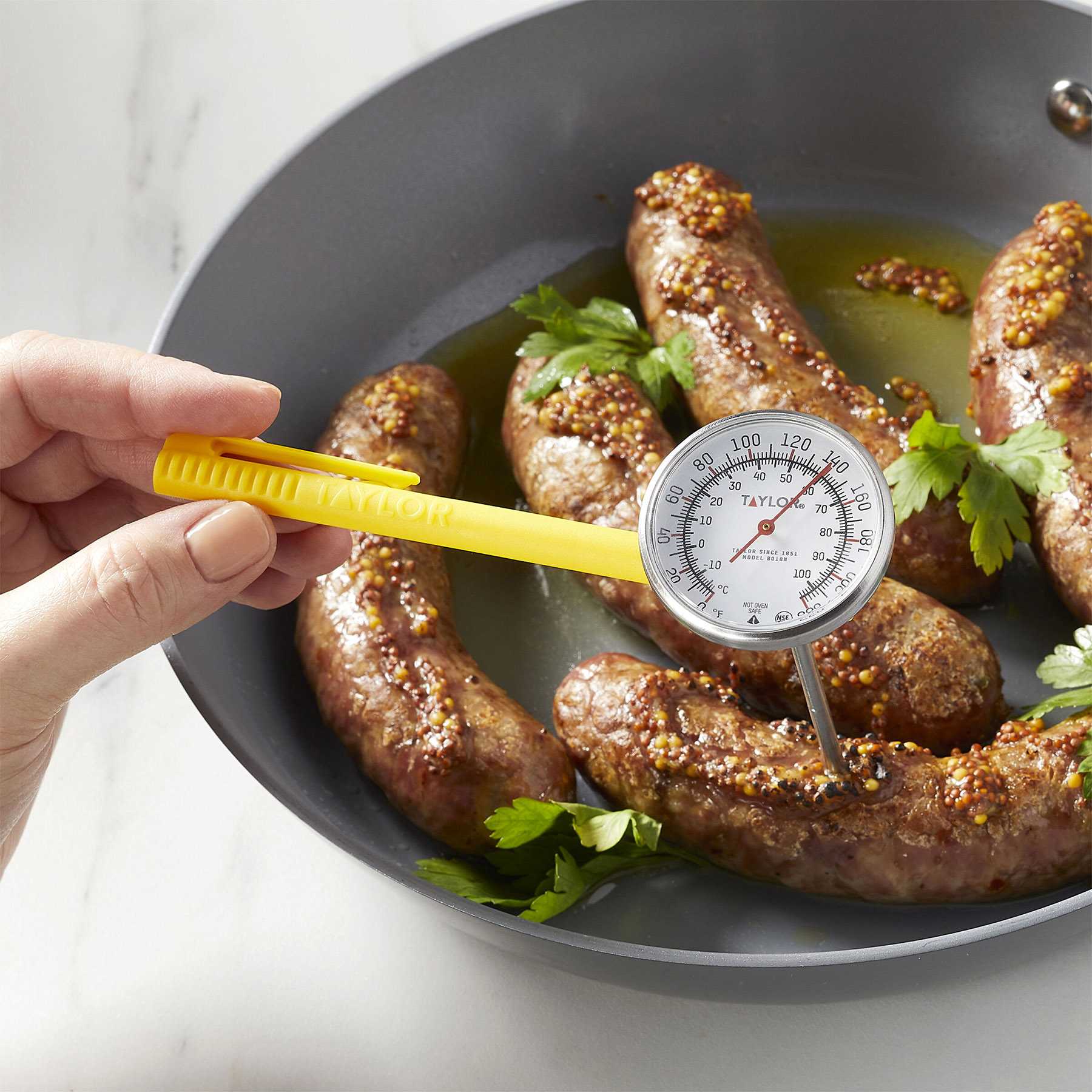 Taylor Instant Read Stainless Steel Thermometer, 1.75"