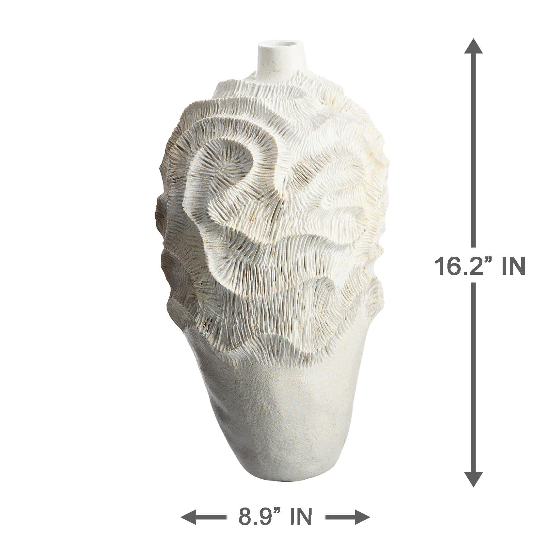 Ty Pennington White Coral Bottle Vase, 16"