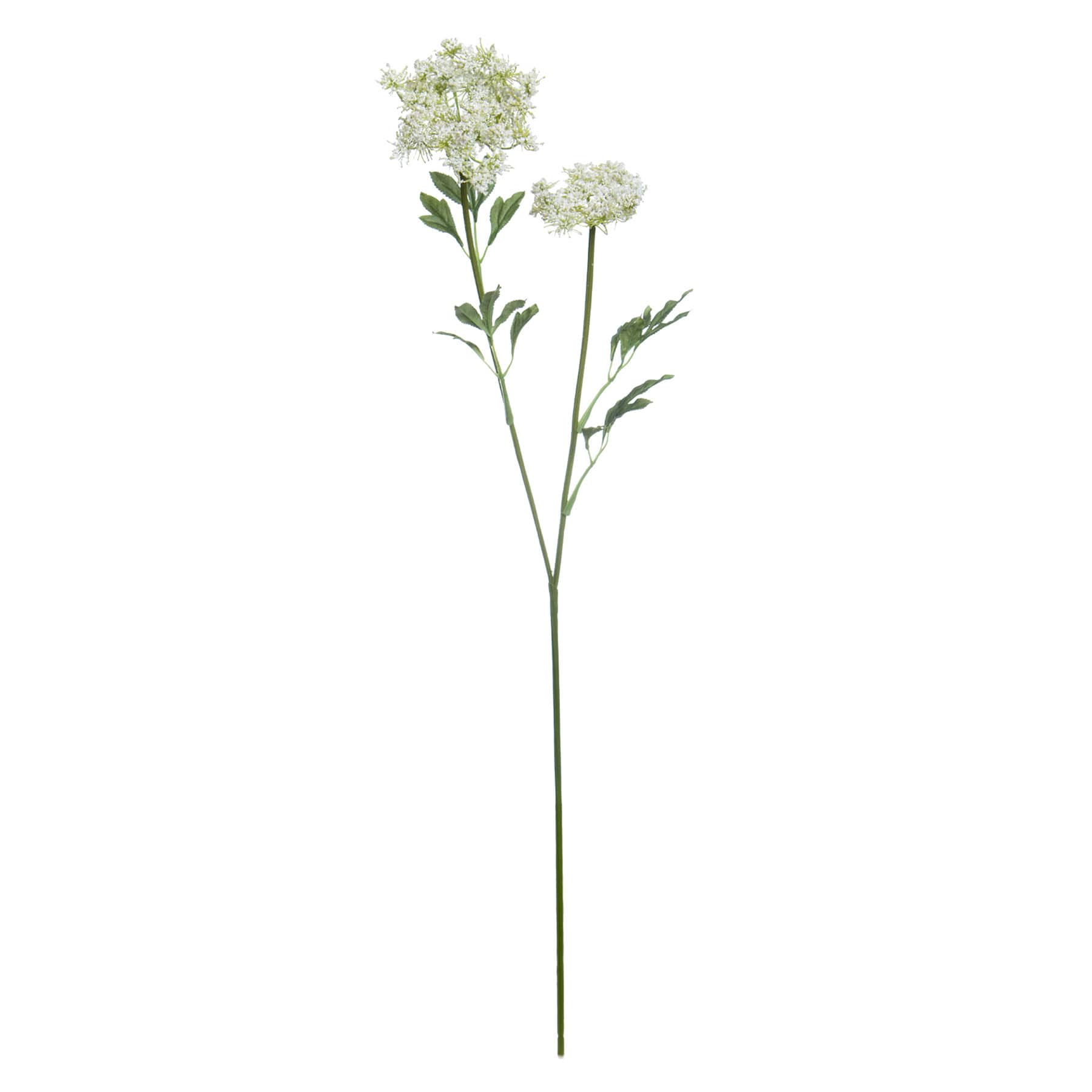 35IN QUEEN ANN LACE SPRAY