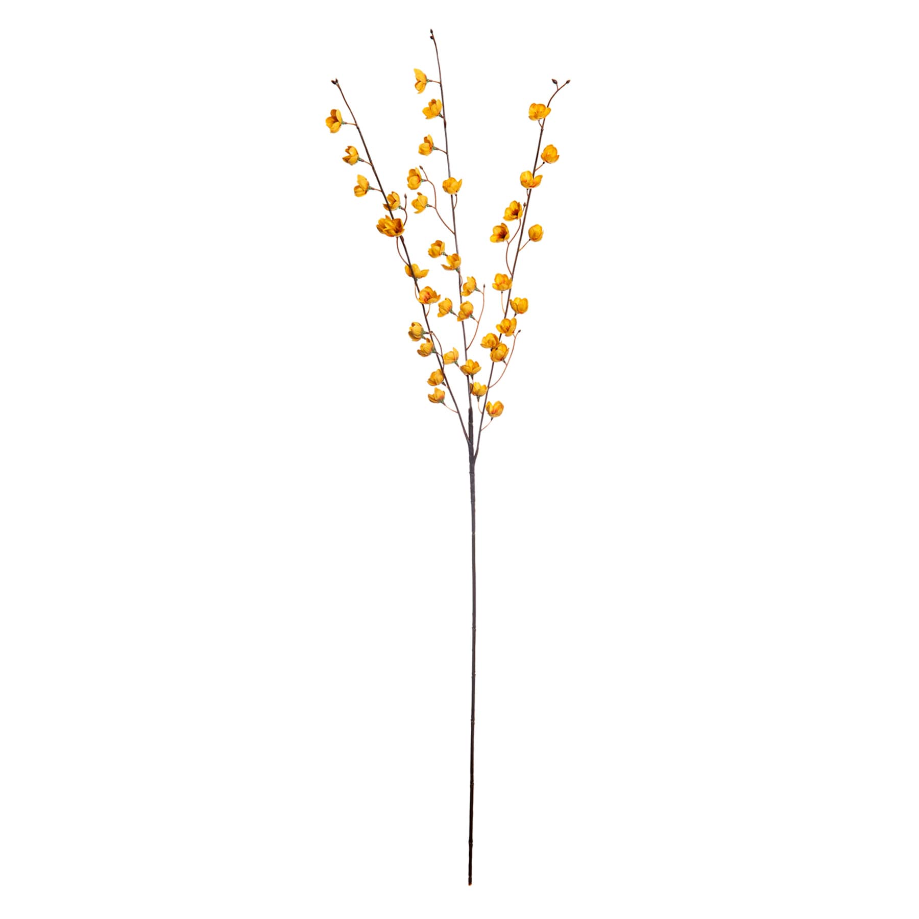 Yellow Mini Phalaenopsis Floral Spray, 30"