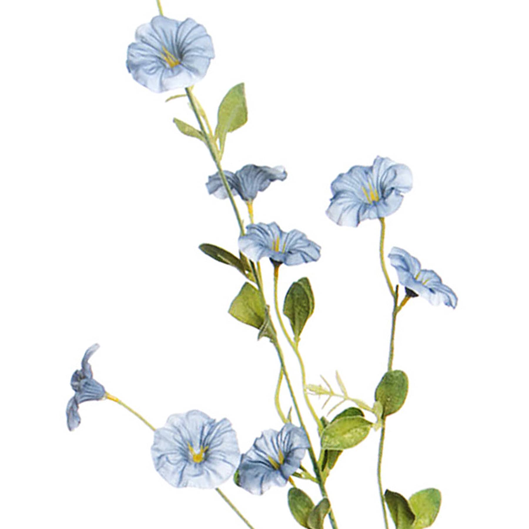 Blue Morning Glory Spray, 34"