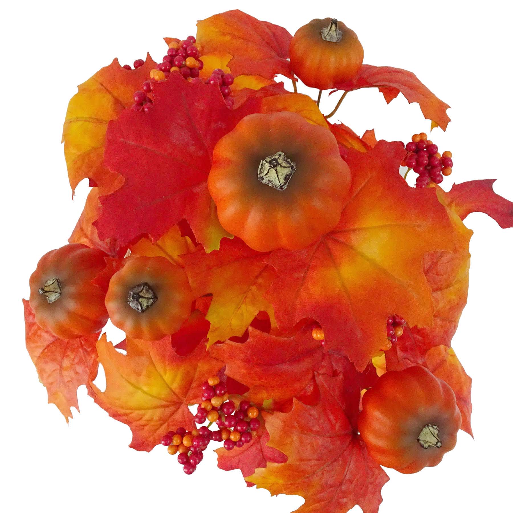 Maple & Pumpkin Mix Bush
